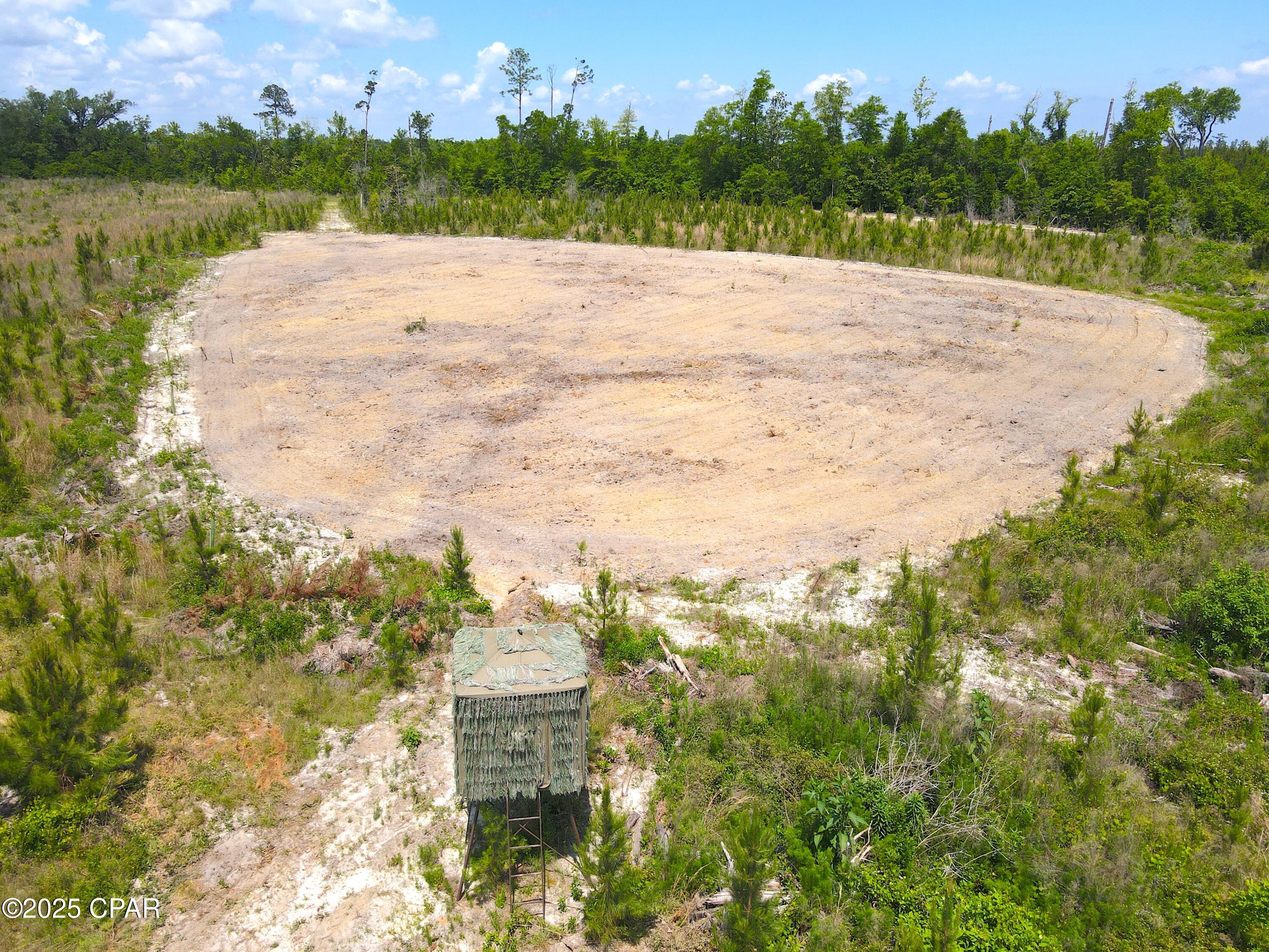 00 Sinai Road, Sneads, Florida image 9