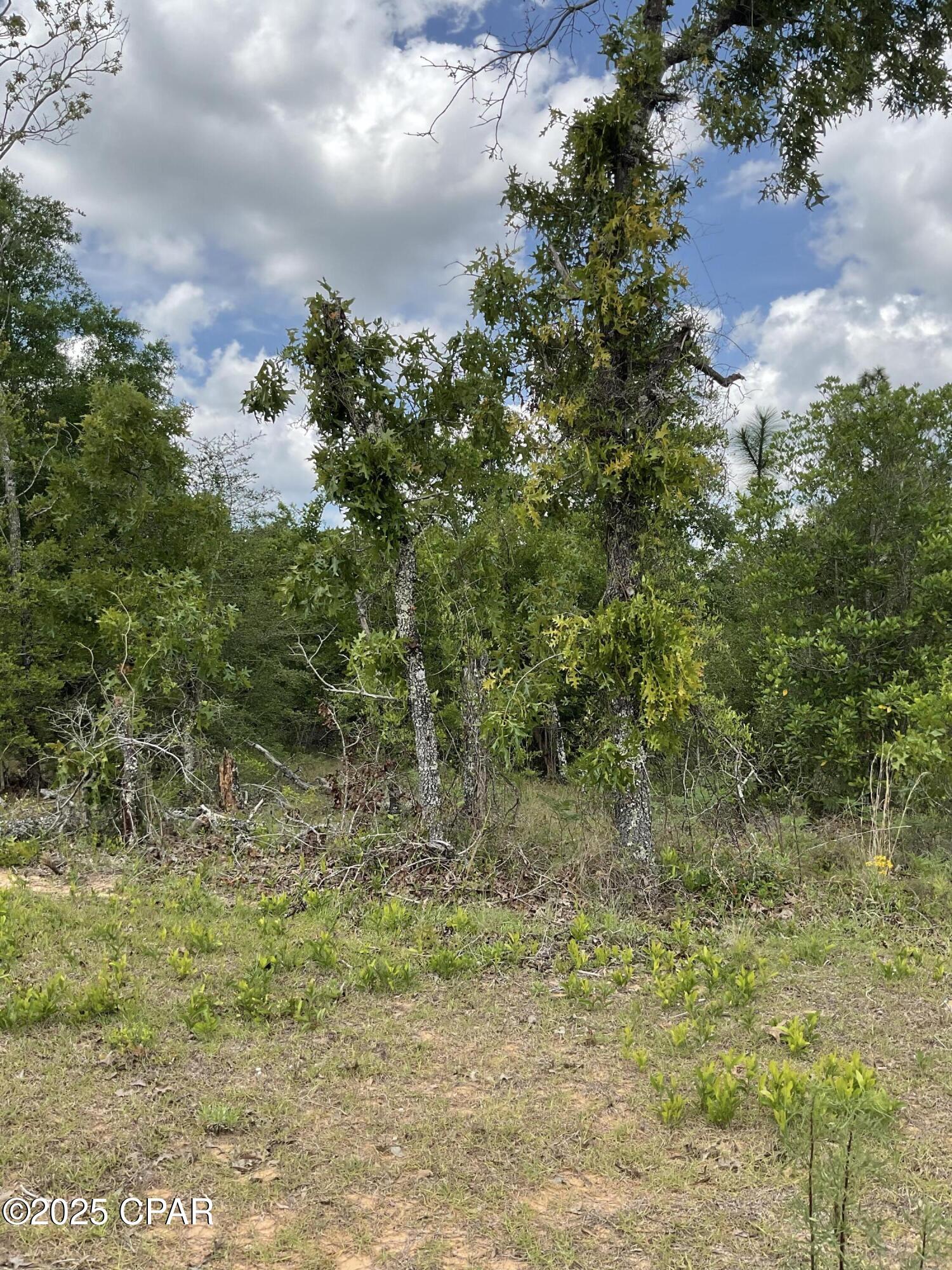Nevada, Alford, Florida image 6