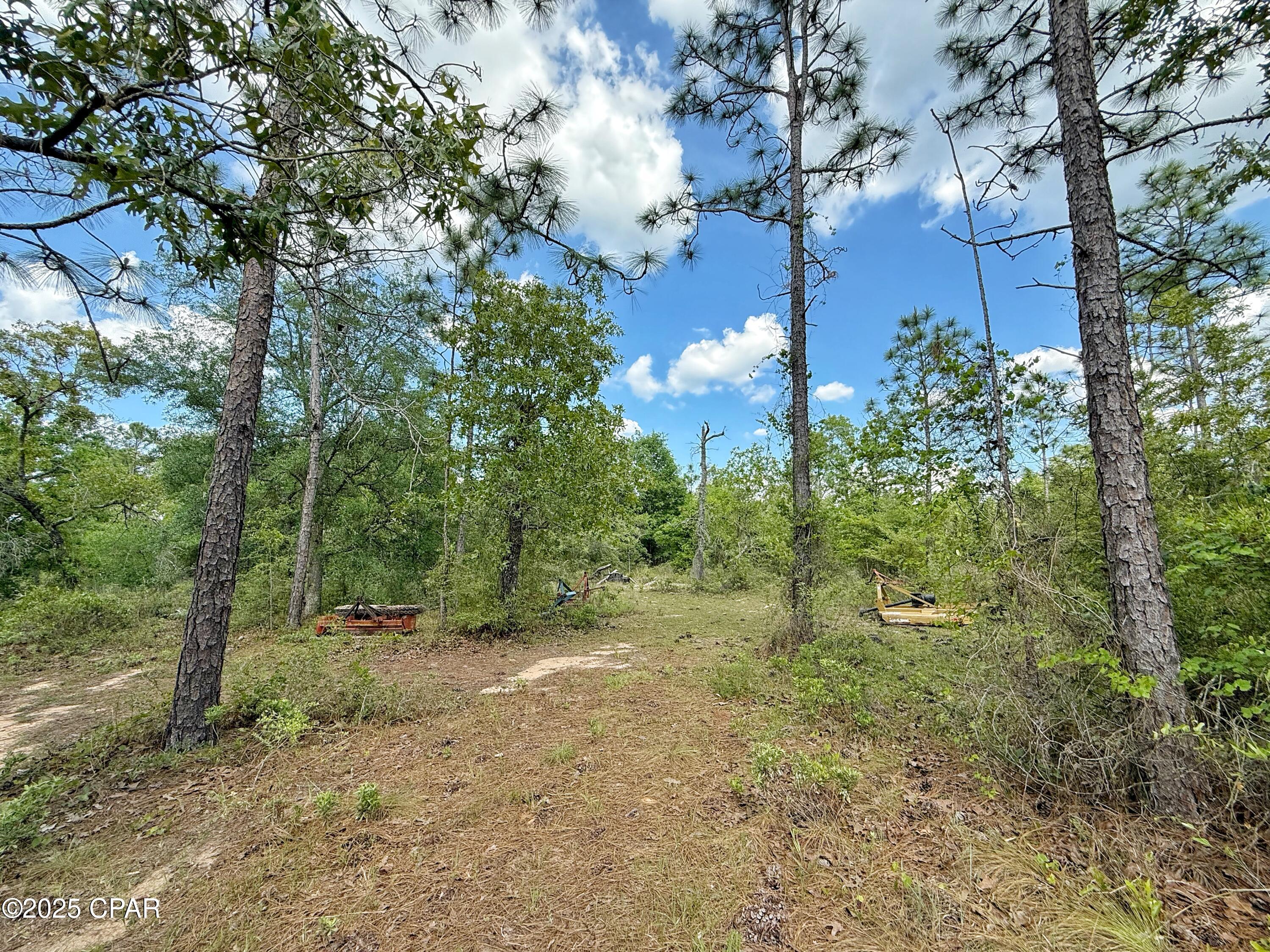 3459 Seminole Lane, Marianna, Florida image 35