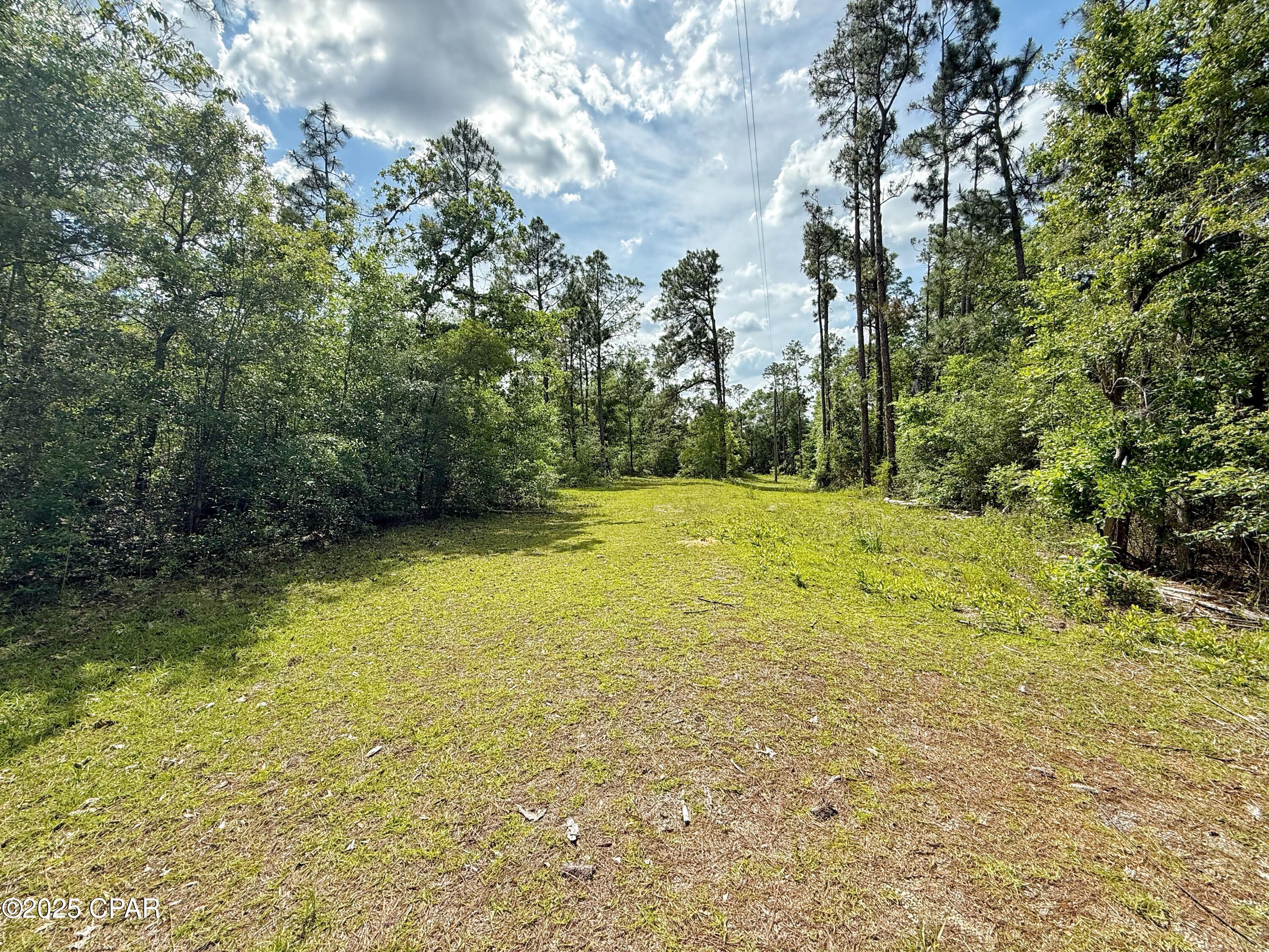 3459 Seminole Lane, Marianna, Florida image 36