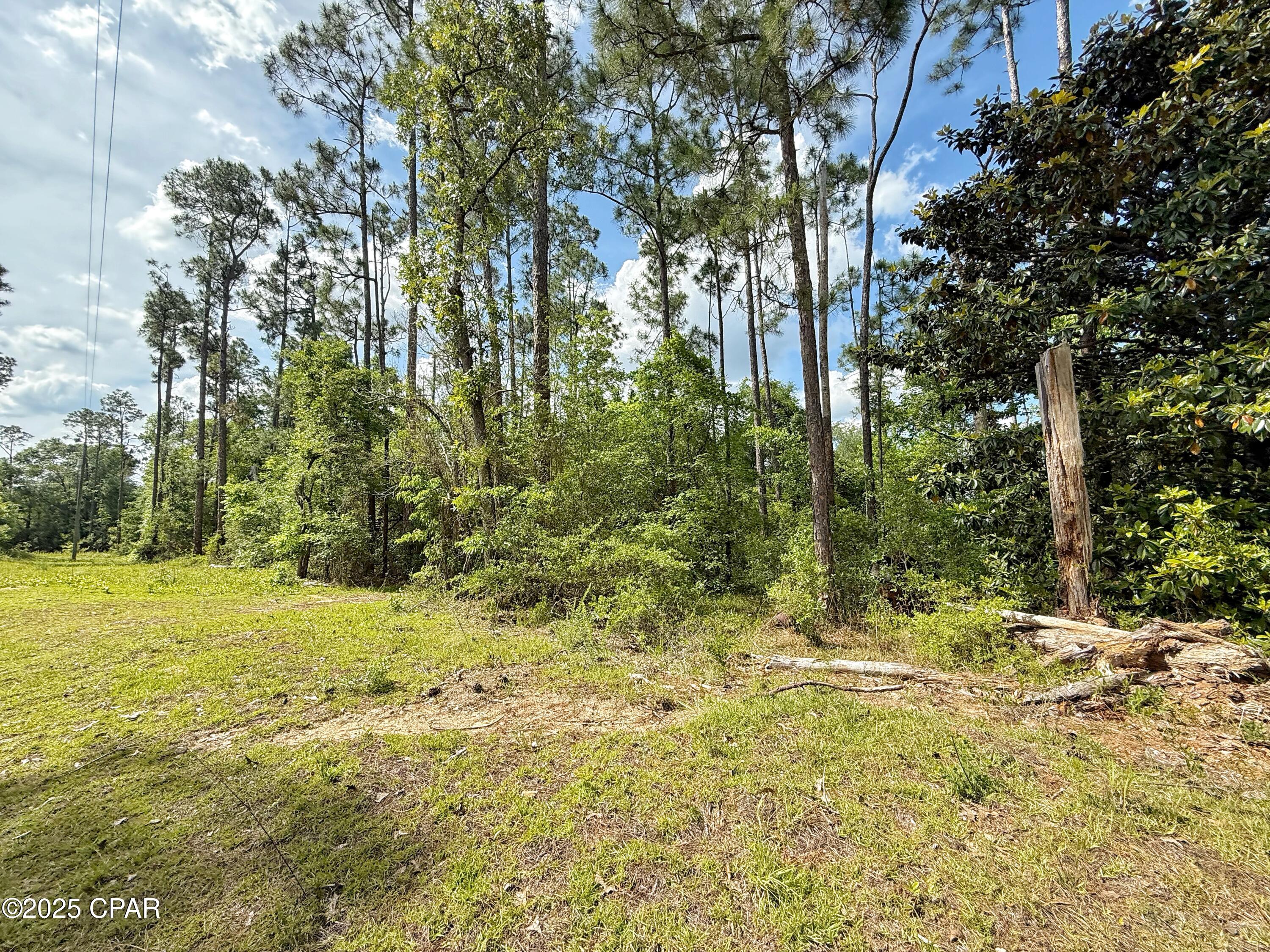 3459 Seminole Lane, Marianna, Florida image 45