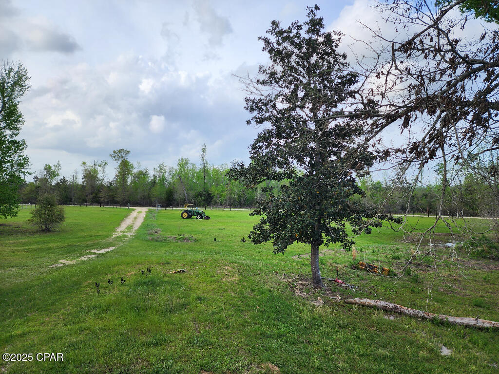 14235 NW Henry Grantham Road, Altha, Florida image 4