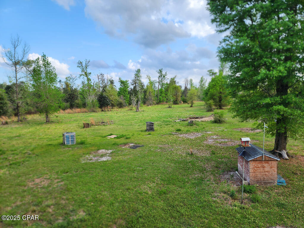14235 NW Henry Grantham Road, Altha, Florida image 5
