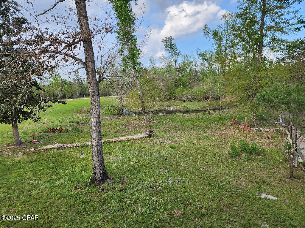 14235 NW Henry Grantham Road, Altha, Florida image 7
