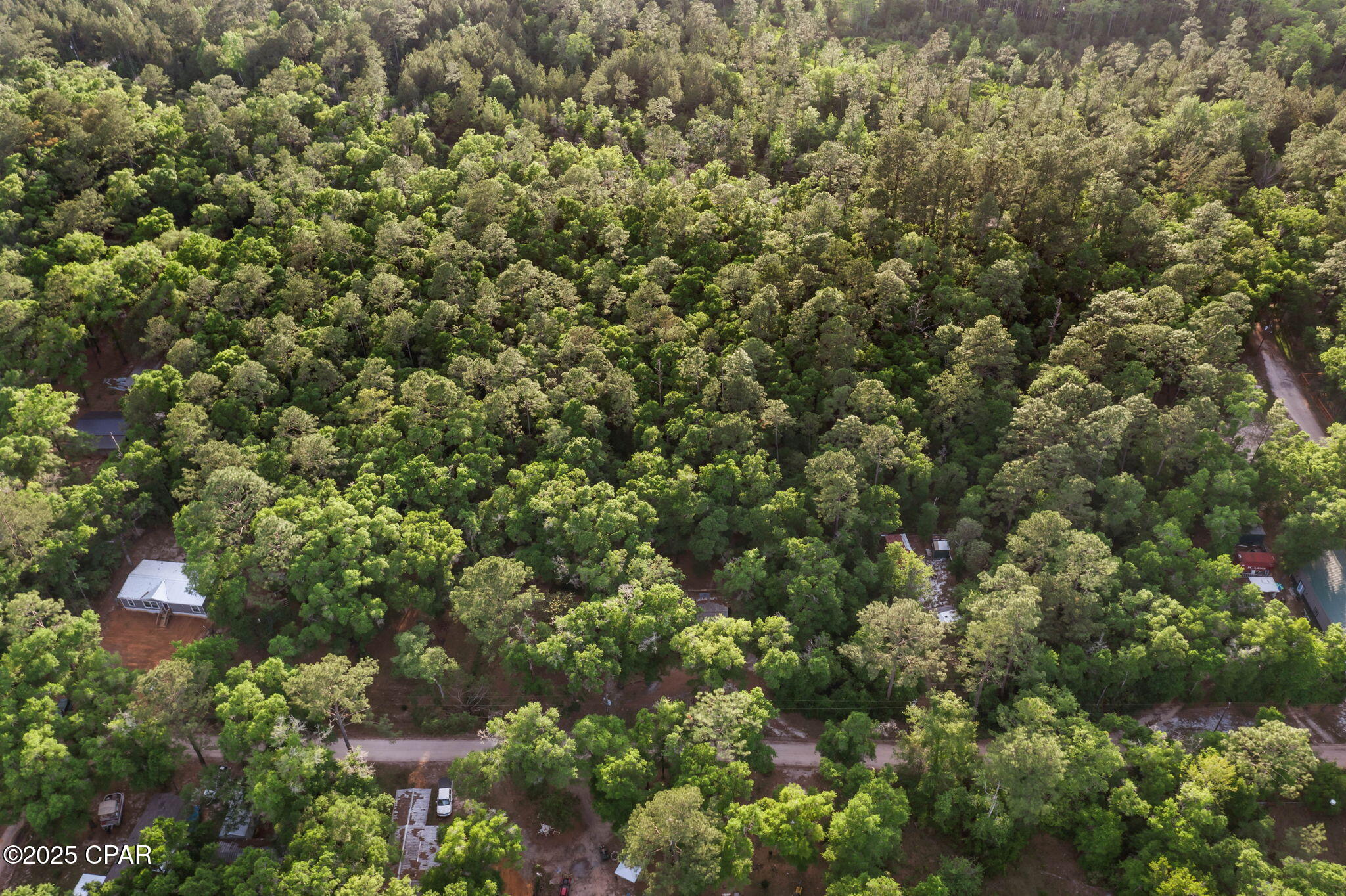 XXX Skipper Road, Vernon, Florida image 16