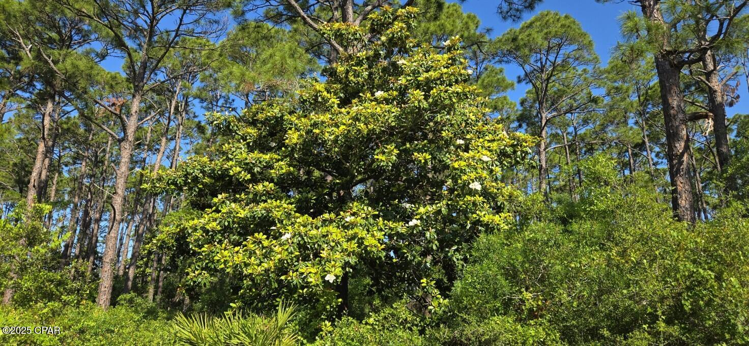 Lot 11 Waters Edge, Port St. Joe, Florida image 21