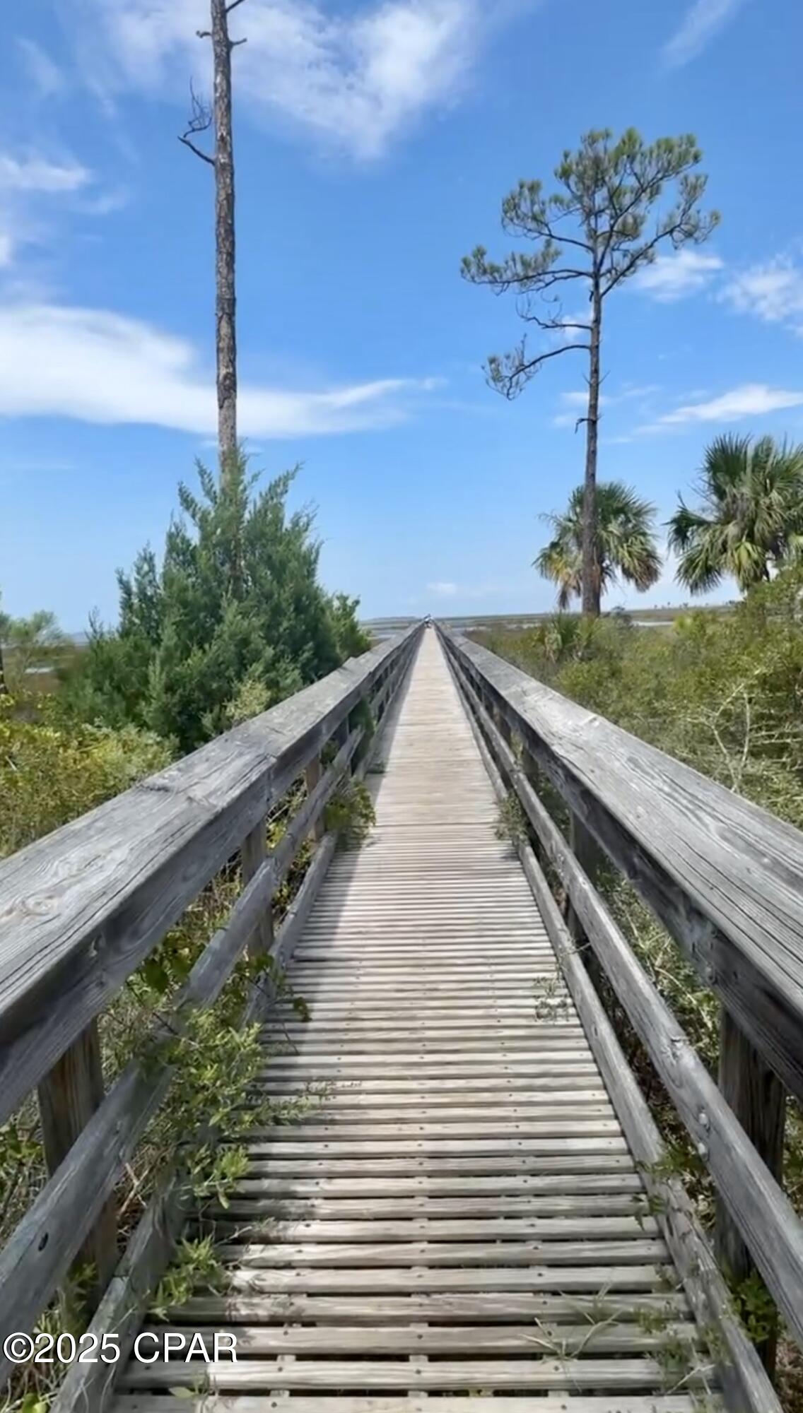 Lot 11 Waters Edge, Port St. Joe, Florida image 29