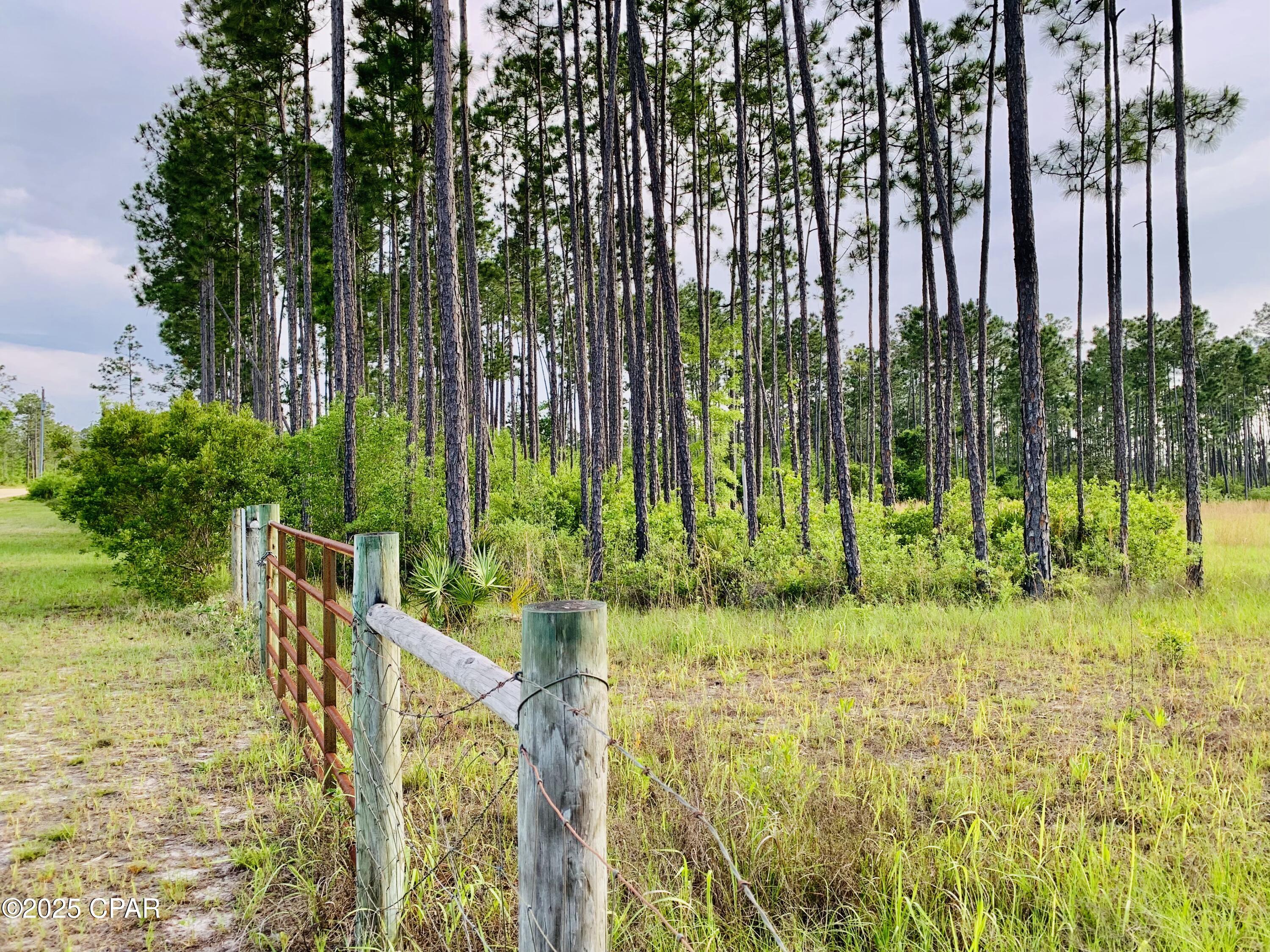 16711 Roll O Home Road, Fountain, Florida image 3