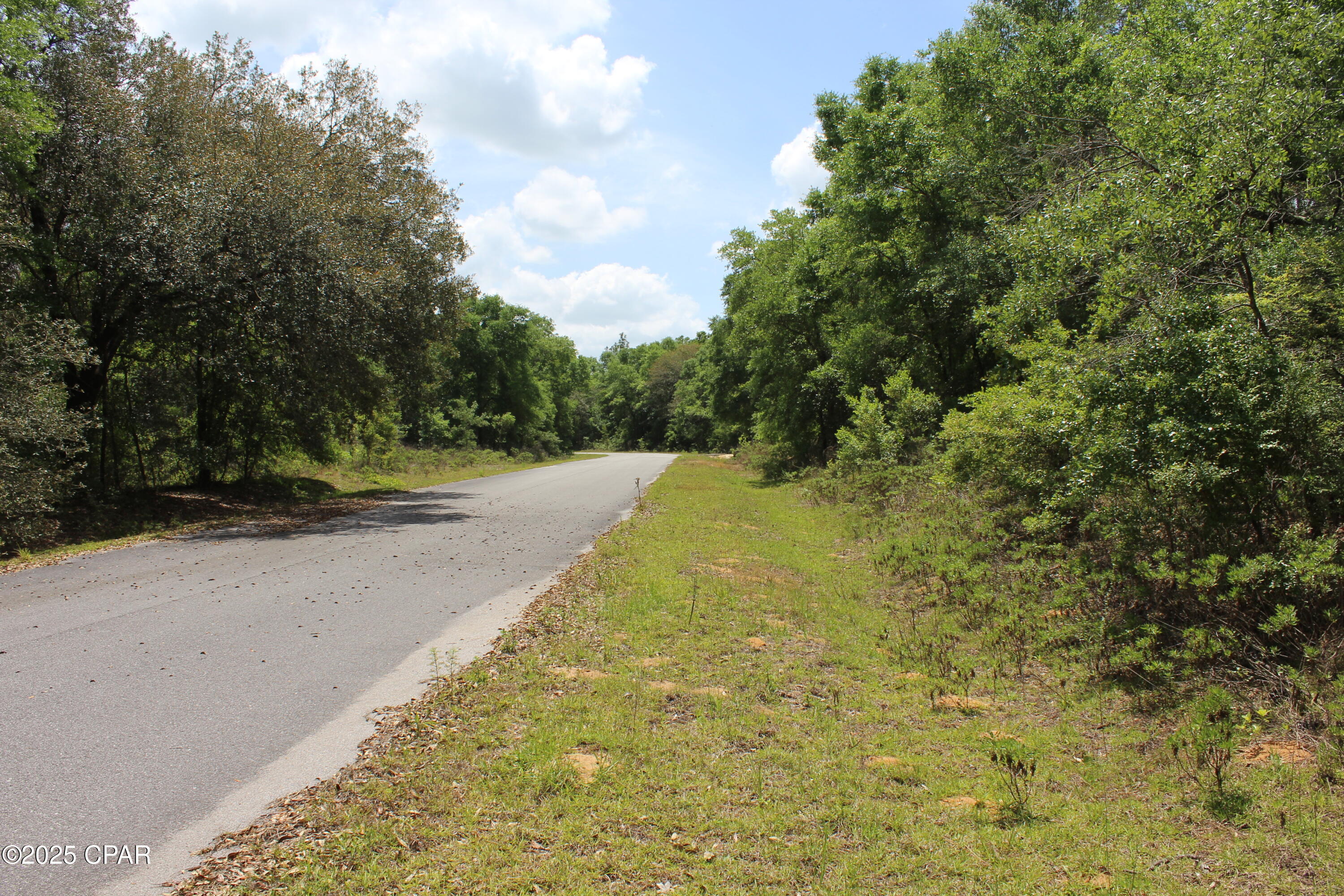 Lot 18 Arnone Lane, Chipley, Florida image 10