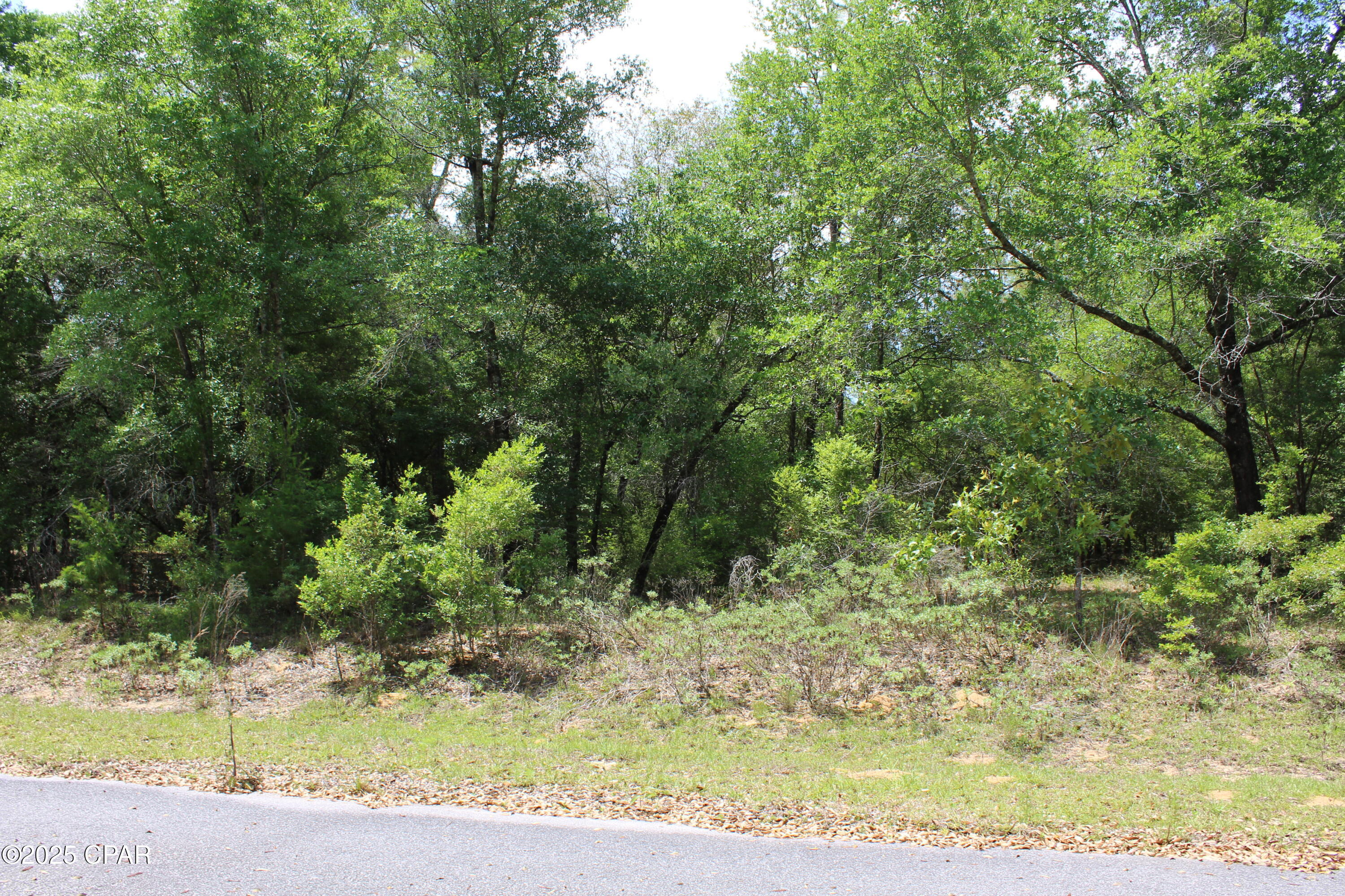 Lot 18 Arnone Lane, Chipley, Florida image 2