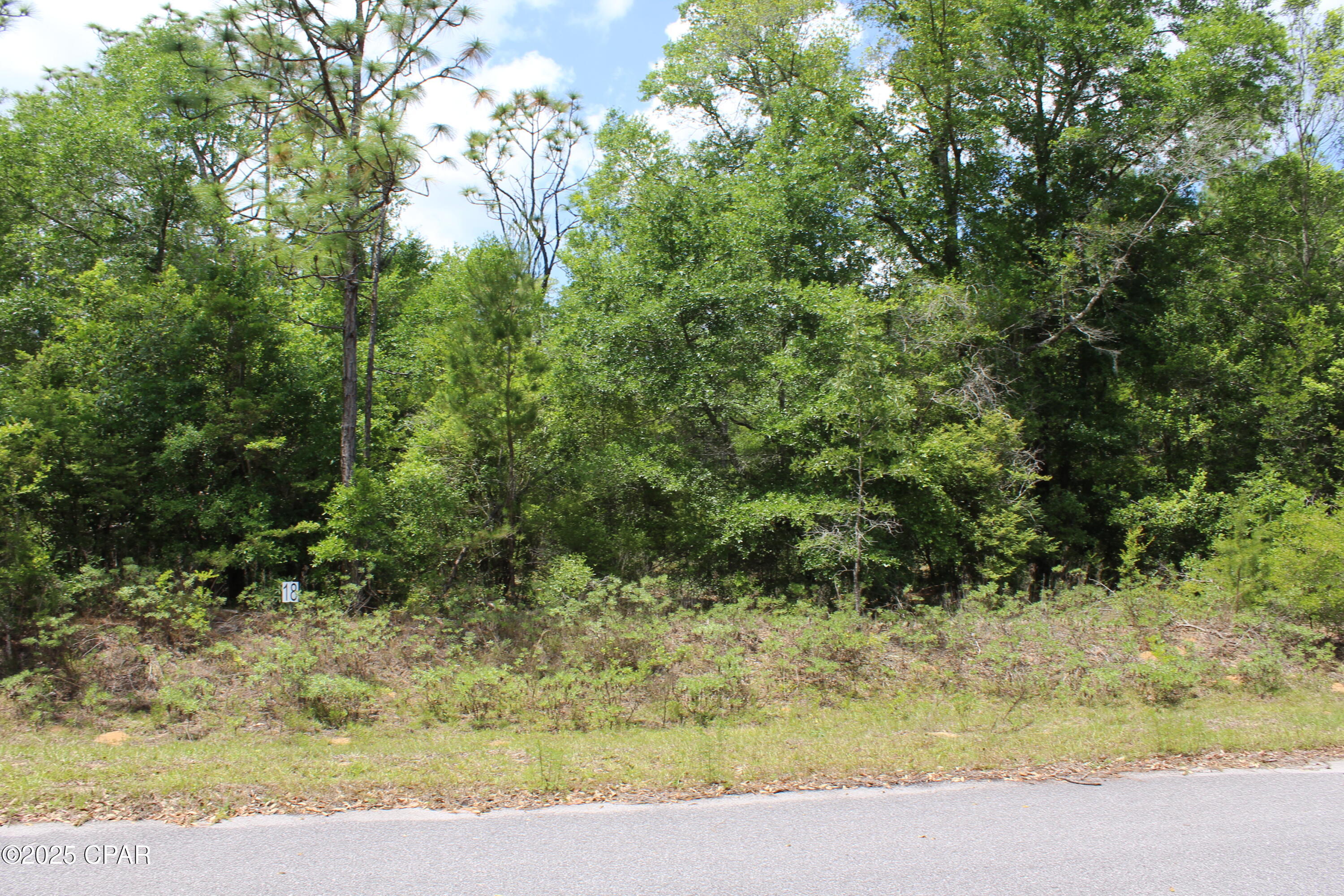 Lot 18 Arnone Lane, Chipley, Florida image 8
