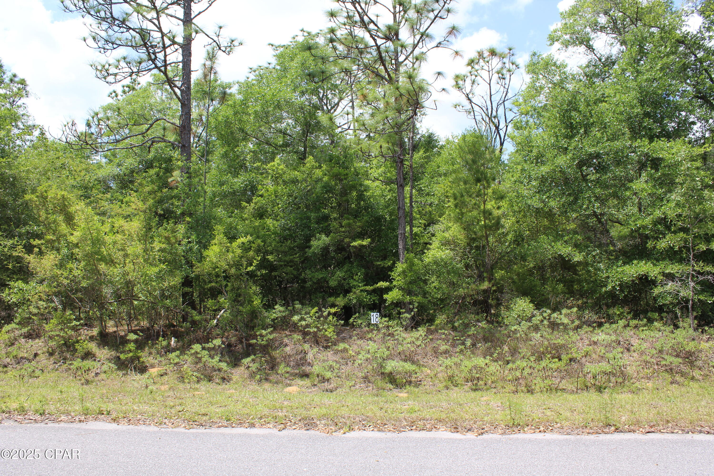 Lot 18 Arnone Lane, Chipley, Florida image 9