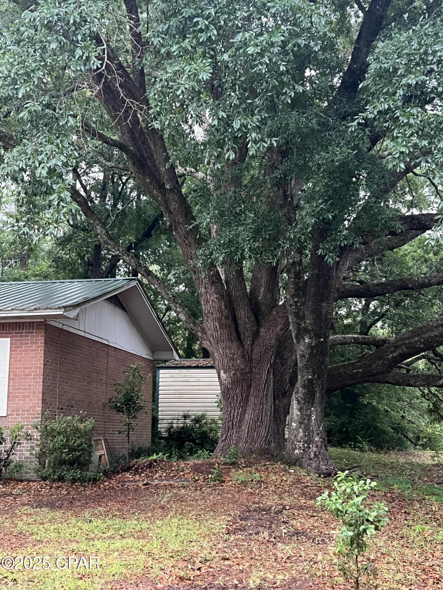632 Hideaway Drive, Chipley, Florida image 4