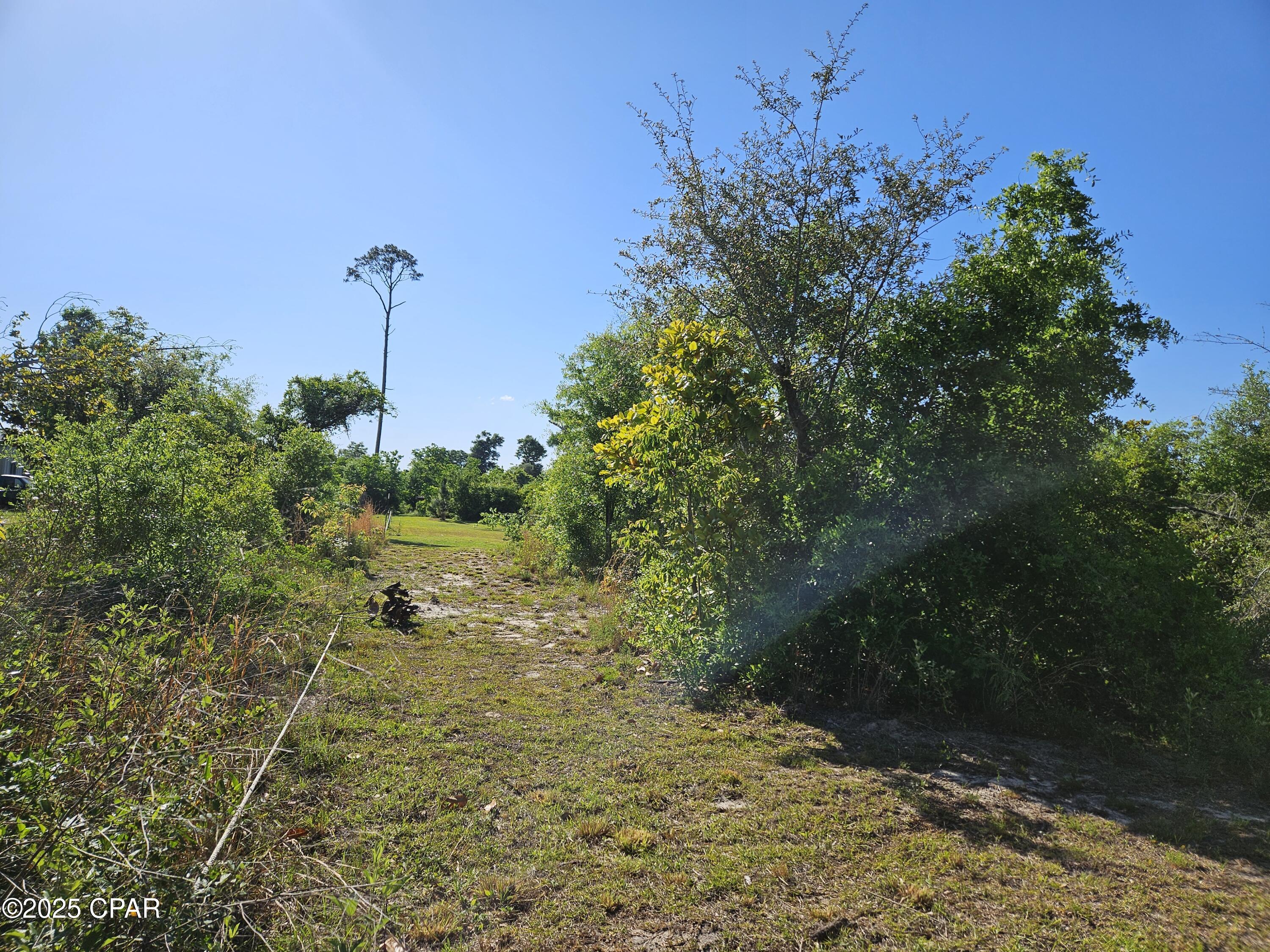 10313 Highway 2301, Youngstown, Florida image 10