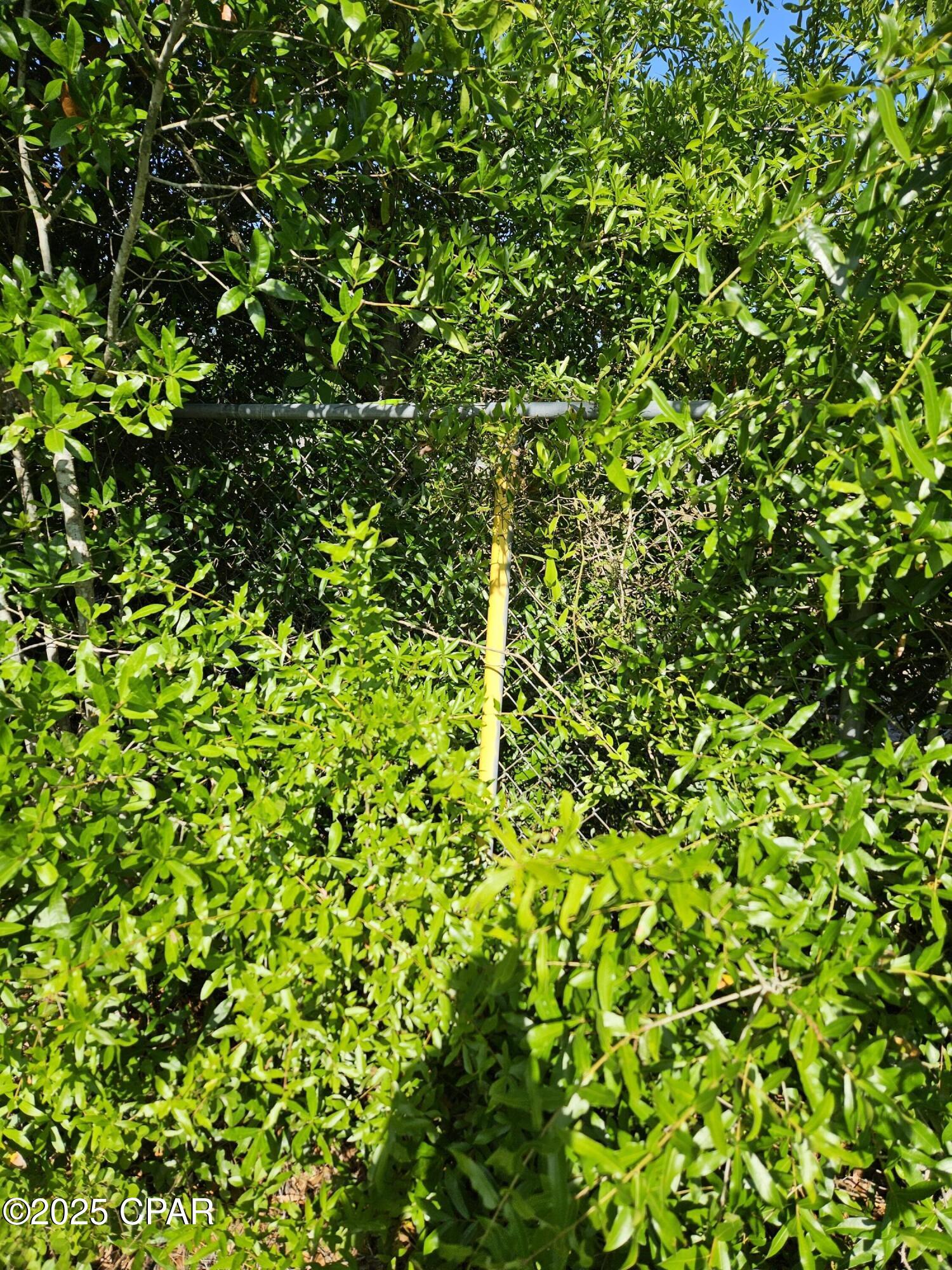 10313 Highway 2301, Youngstown, Florida image 12