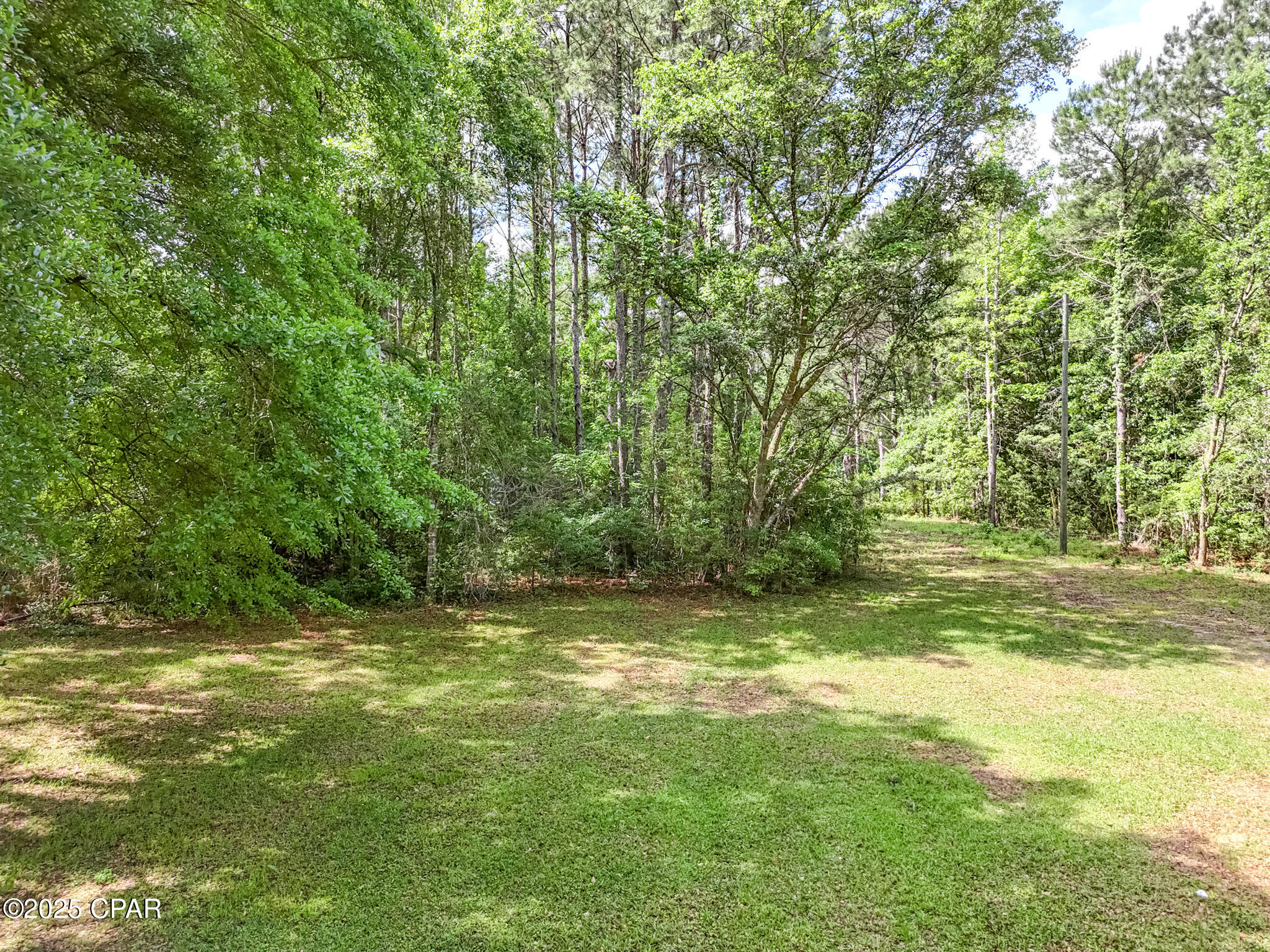 3413 Fanning Branch Road, Vernon, Florida image 26