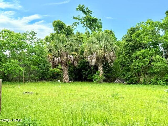 1809 Clay Avenue, Panama City, Florida image 25