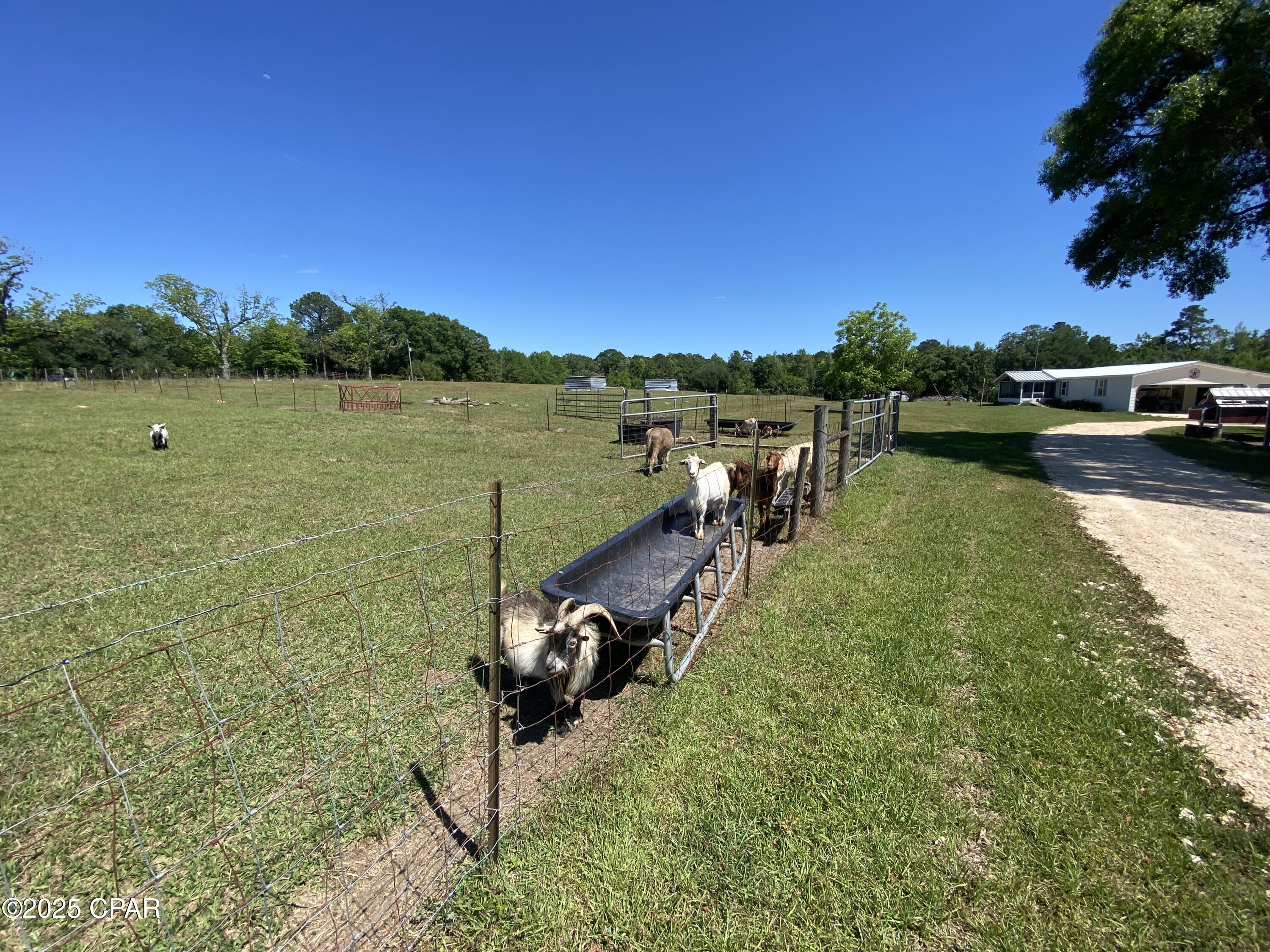 3586 Bush Road, Graceville, Florida image 10