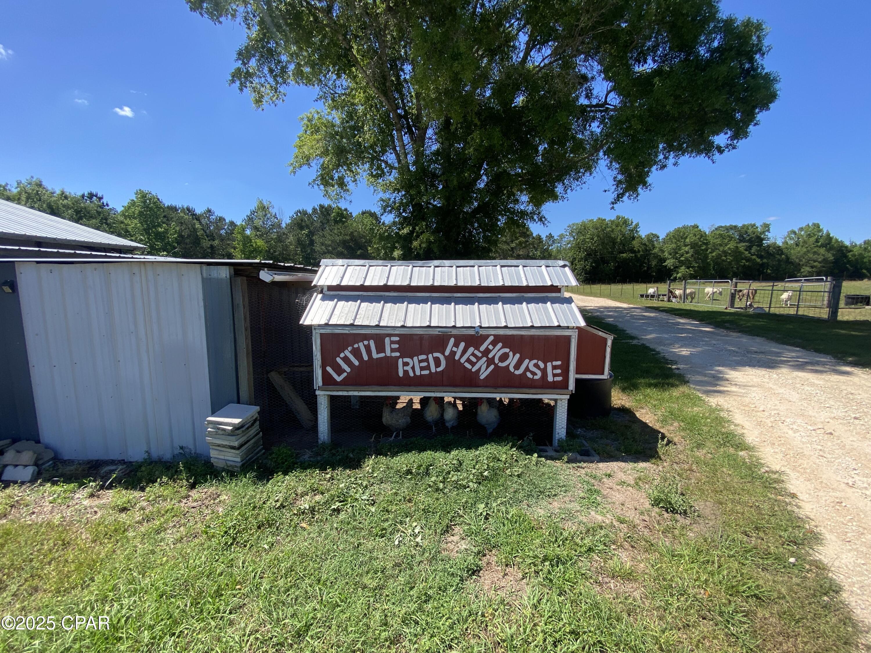 3586 Bush Road, Graceville, Florida image 12