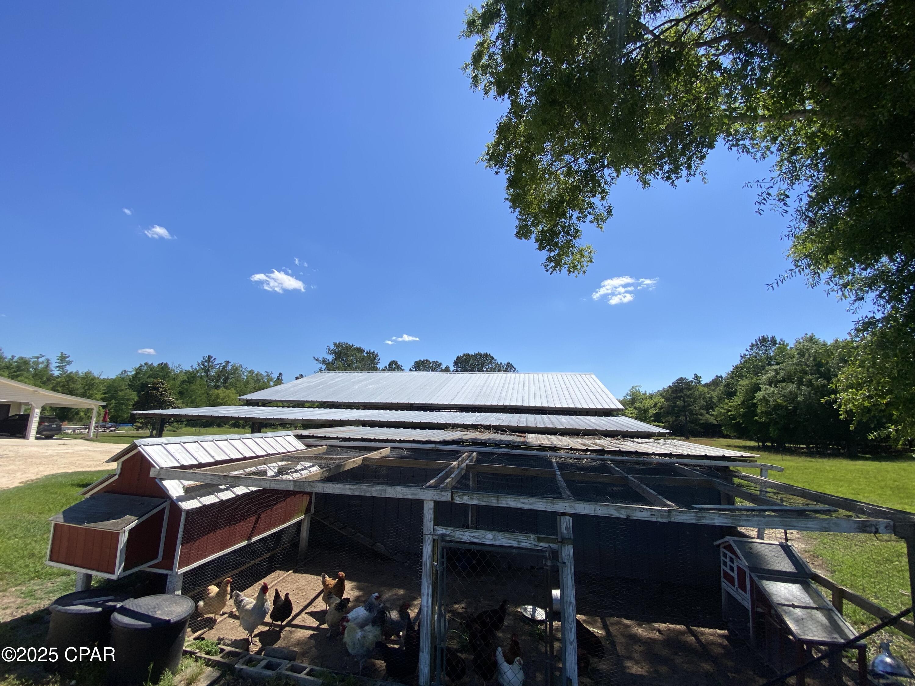 3586 Bush Road, Graceville, Florida image 14