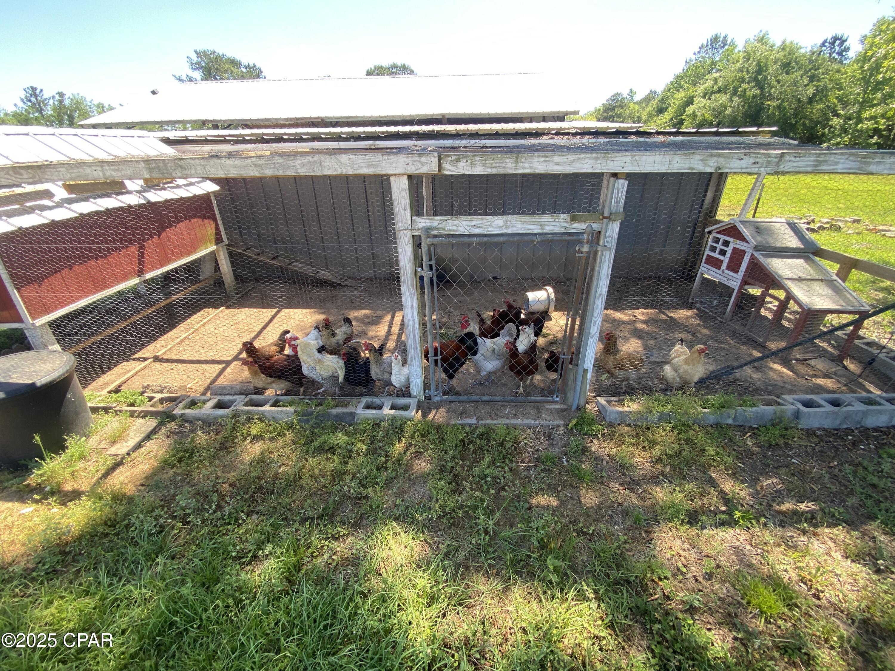 3586 Bush Road, Graceville, Florida image 15