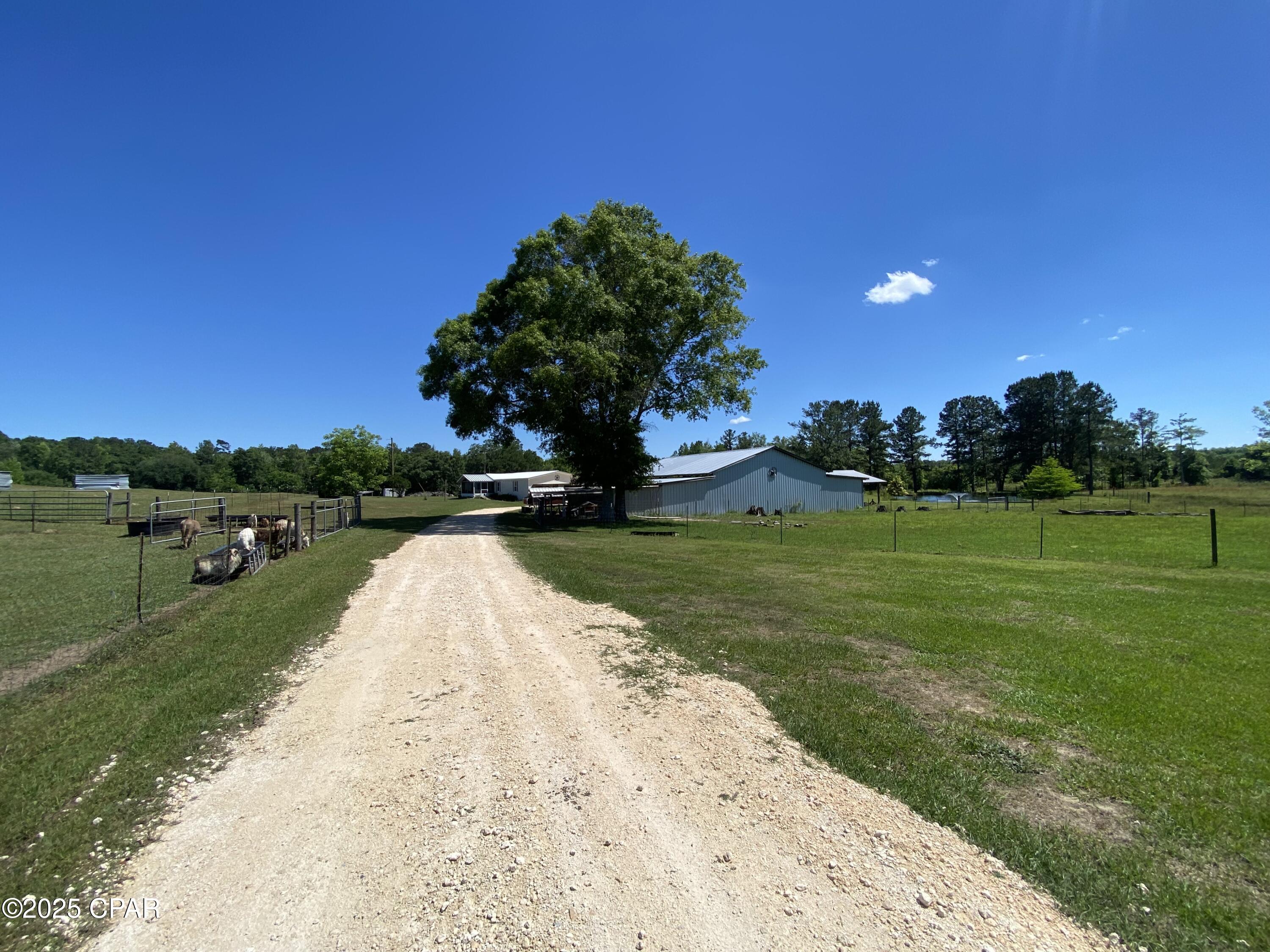 3586 Bush Road, Graceville, Florida image 8