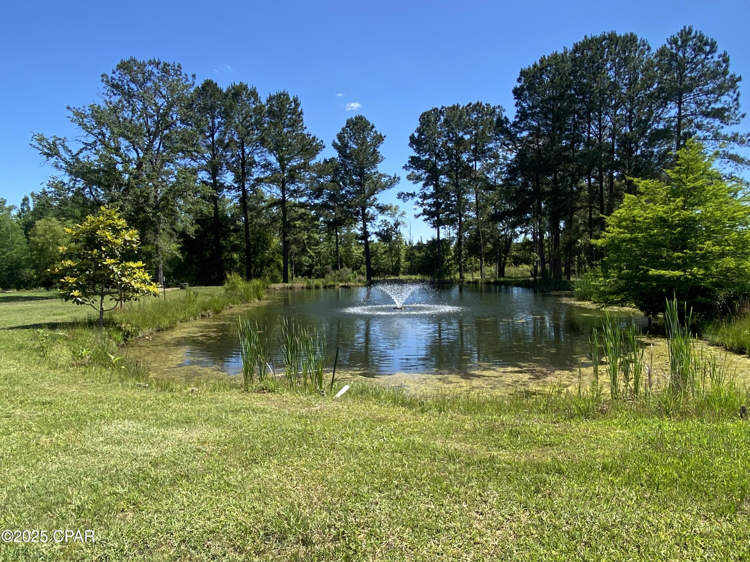 Image 83 For 3586 Bush Road