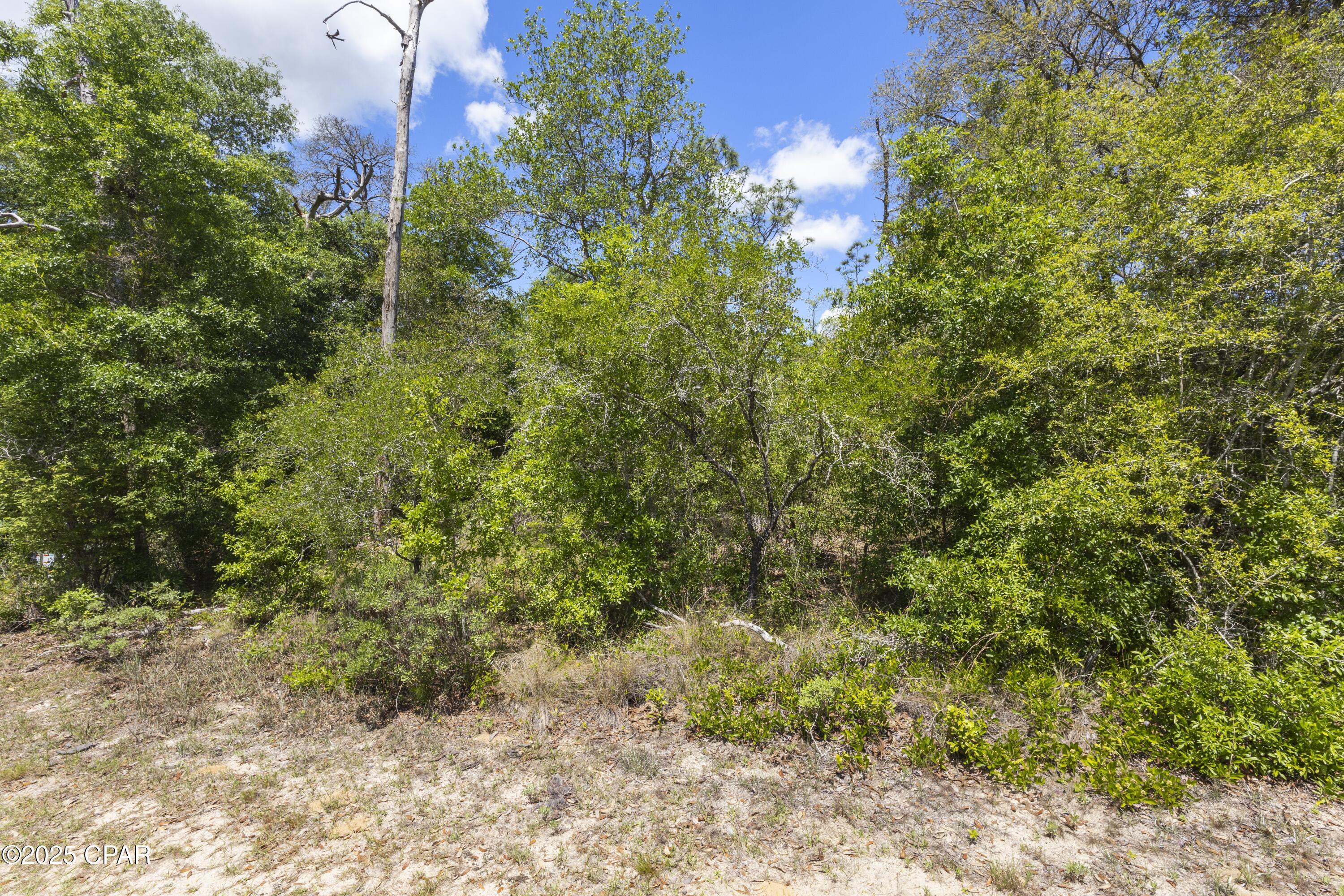 Image 11 For Lot A-110 Leisure Lakes Drive