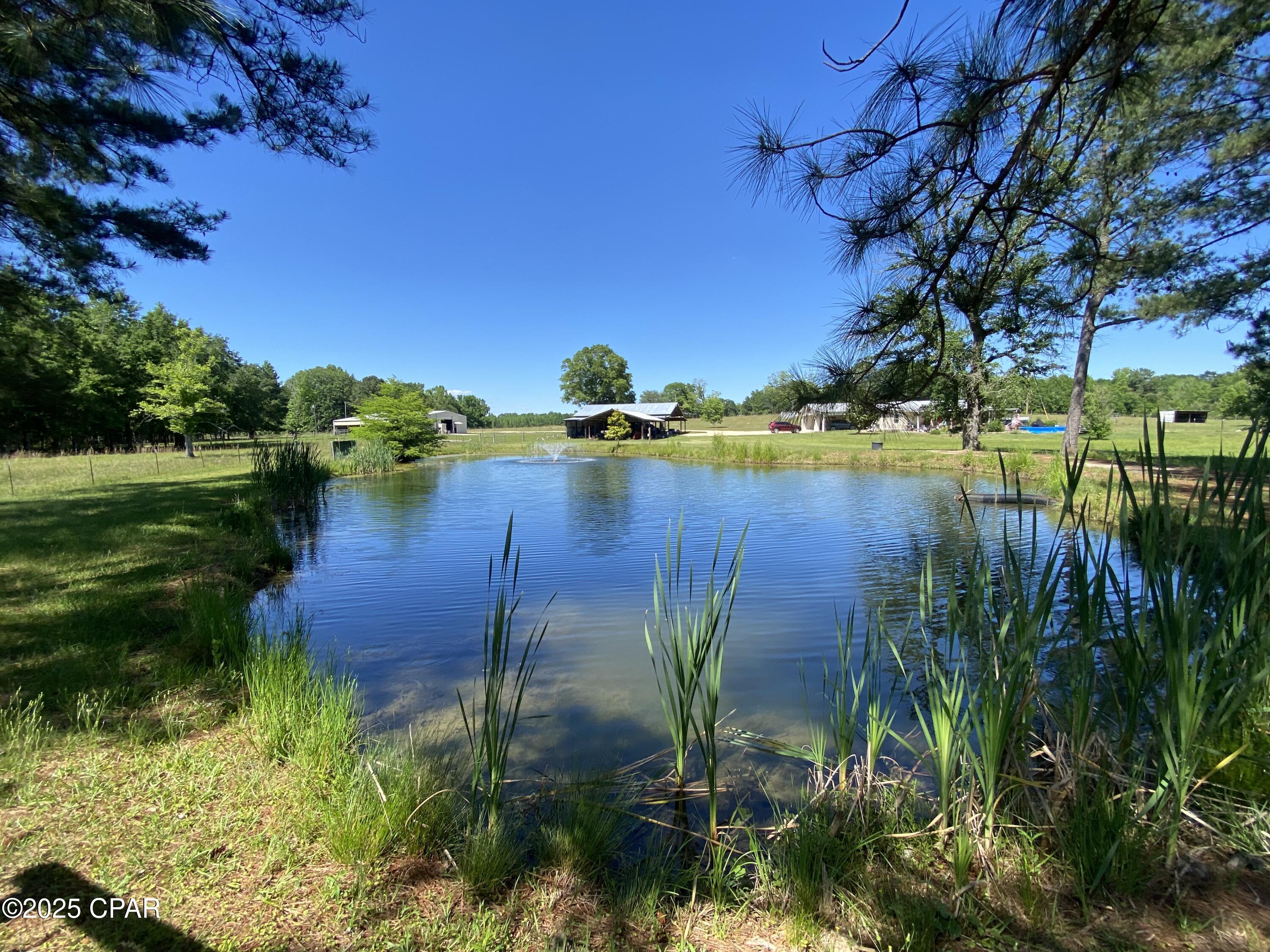 3586 Bush Road, Graceville, Florida image 1