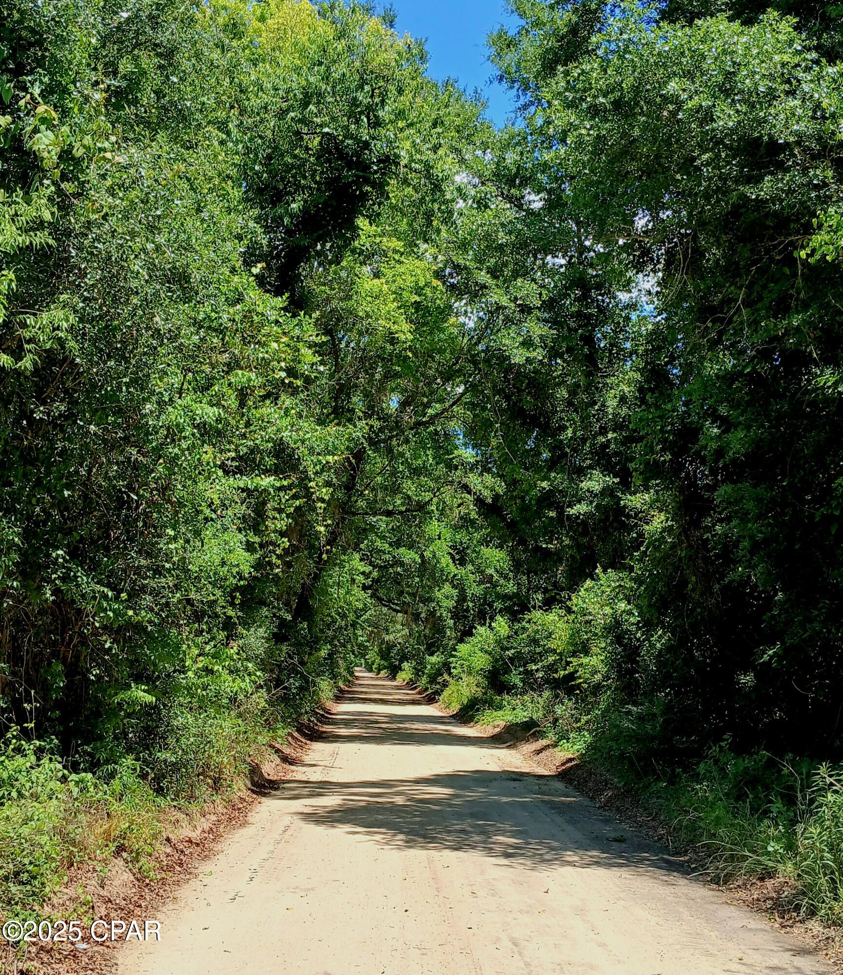 6694 Wolf Pond Road, Bascom, Florida image 2