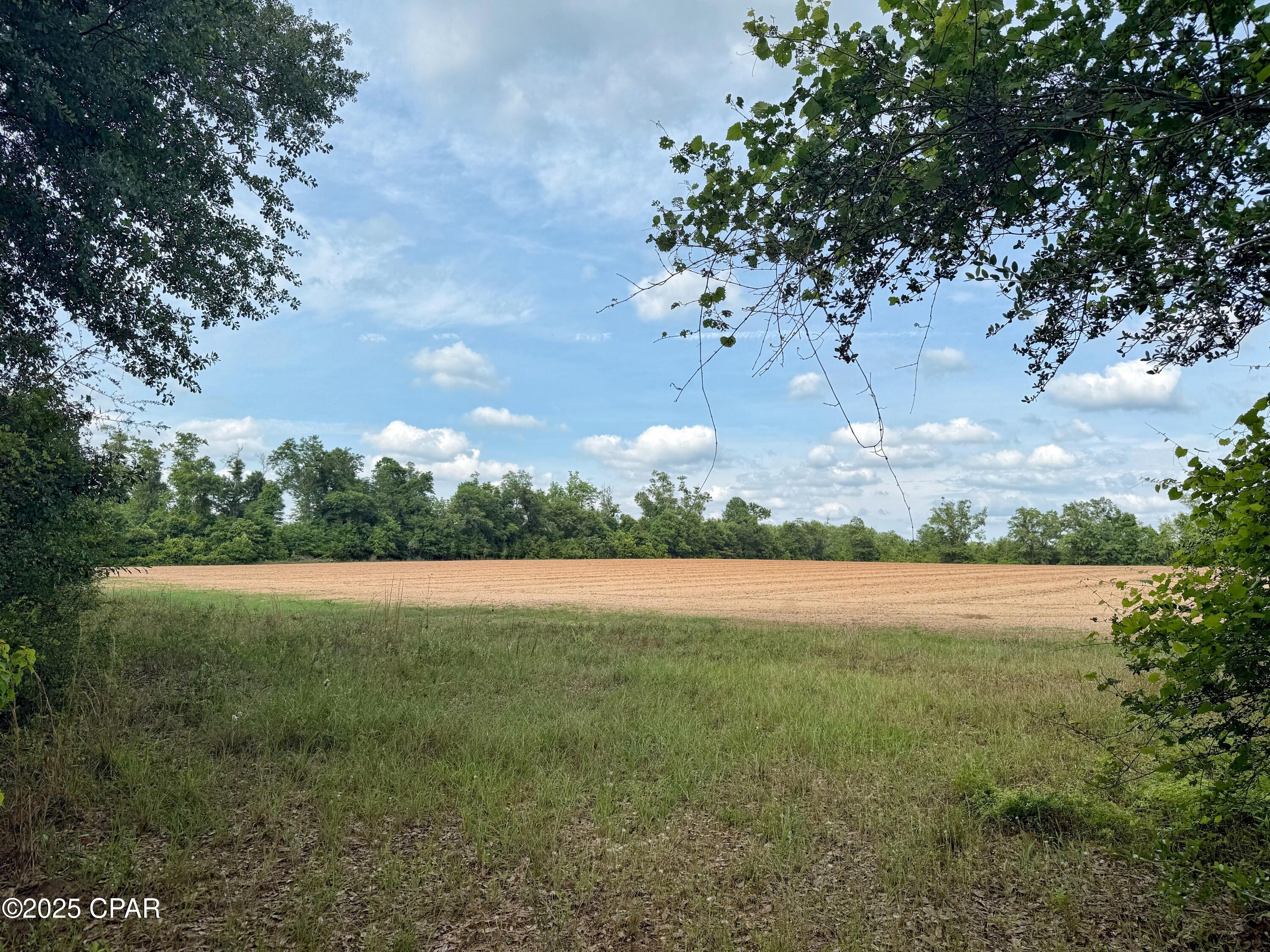 00 Delta Lane, Marianna, Florida image 1