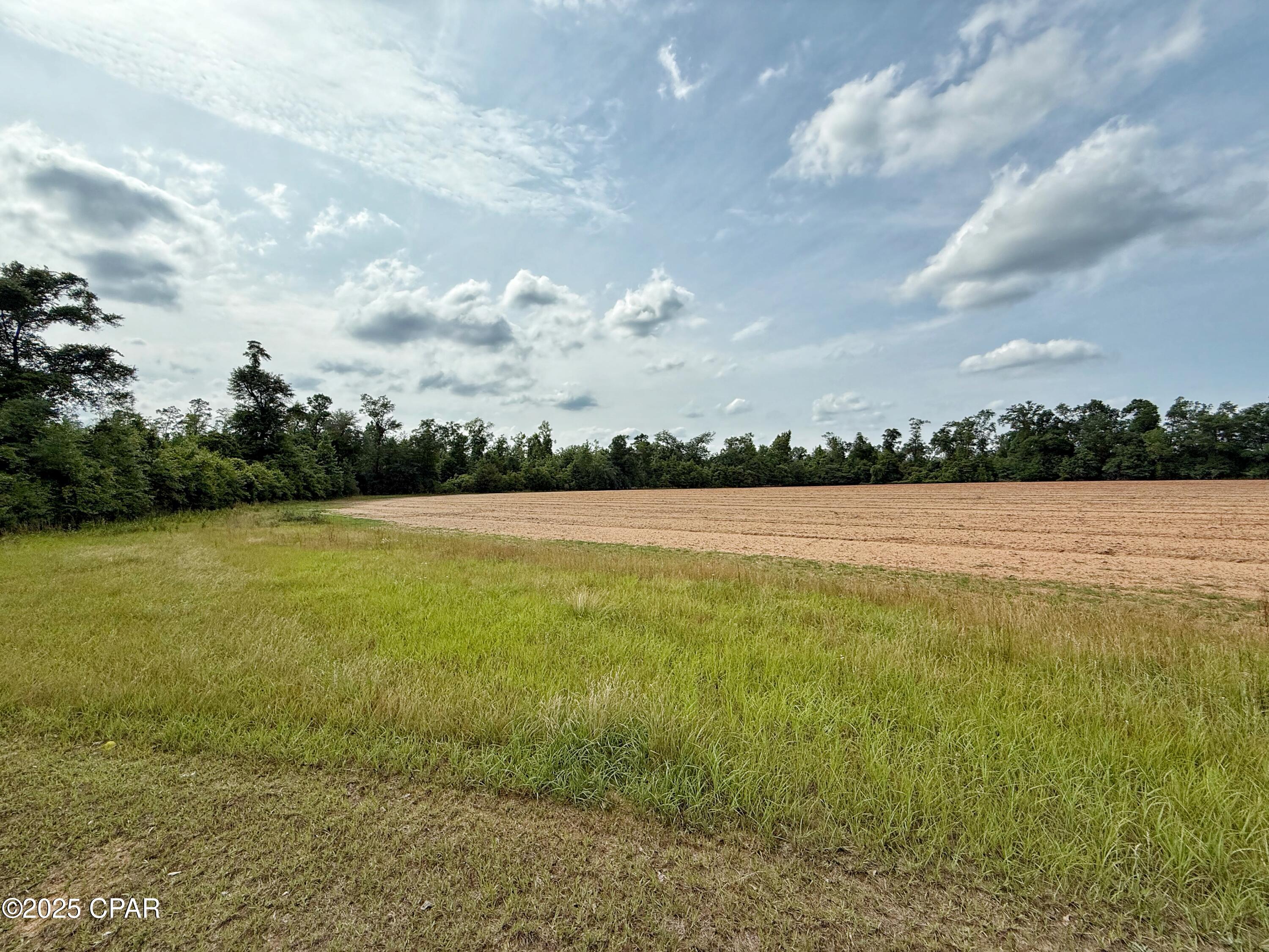 Image 13 For 00 Delta Lane