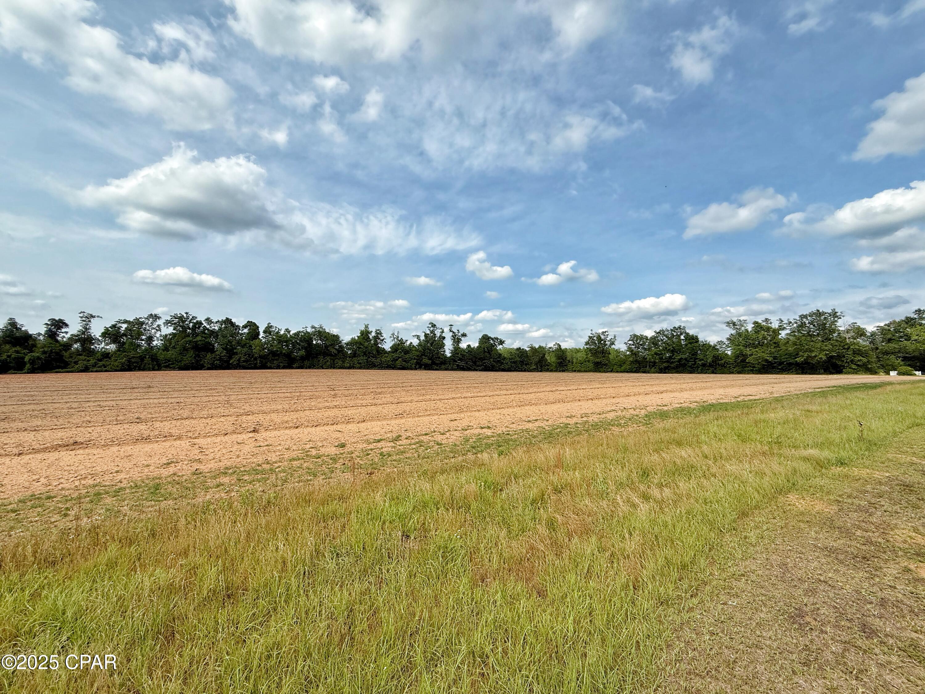 00 Delta Lane, Marianna, Florida image 14