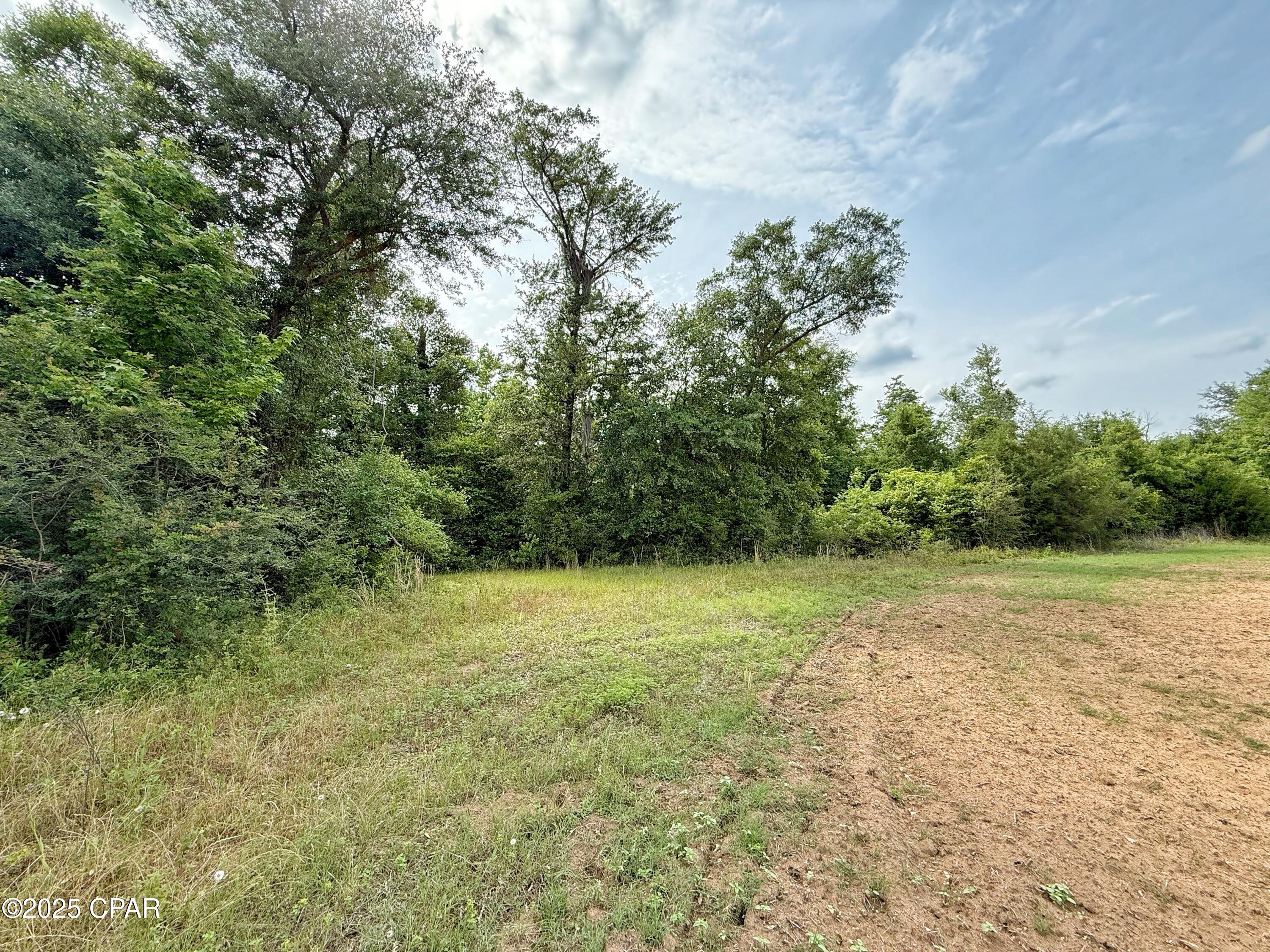 Image 4 For 00 Delta Lane