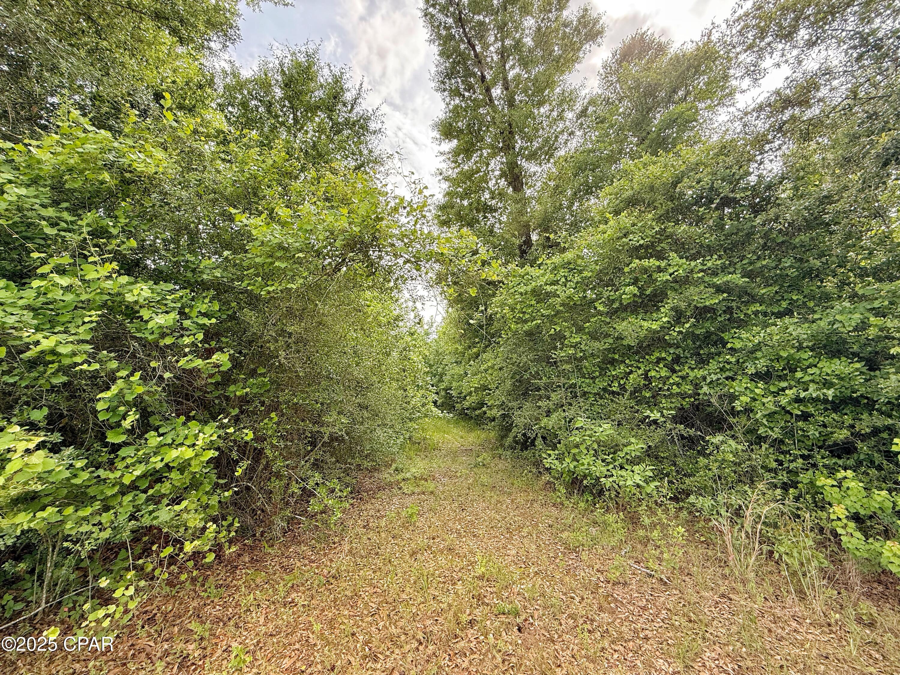 Image 5 For 00 Delta Lane