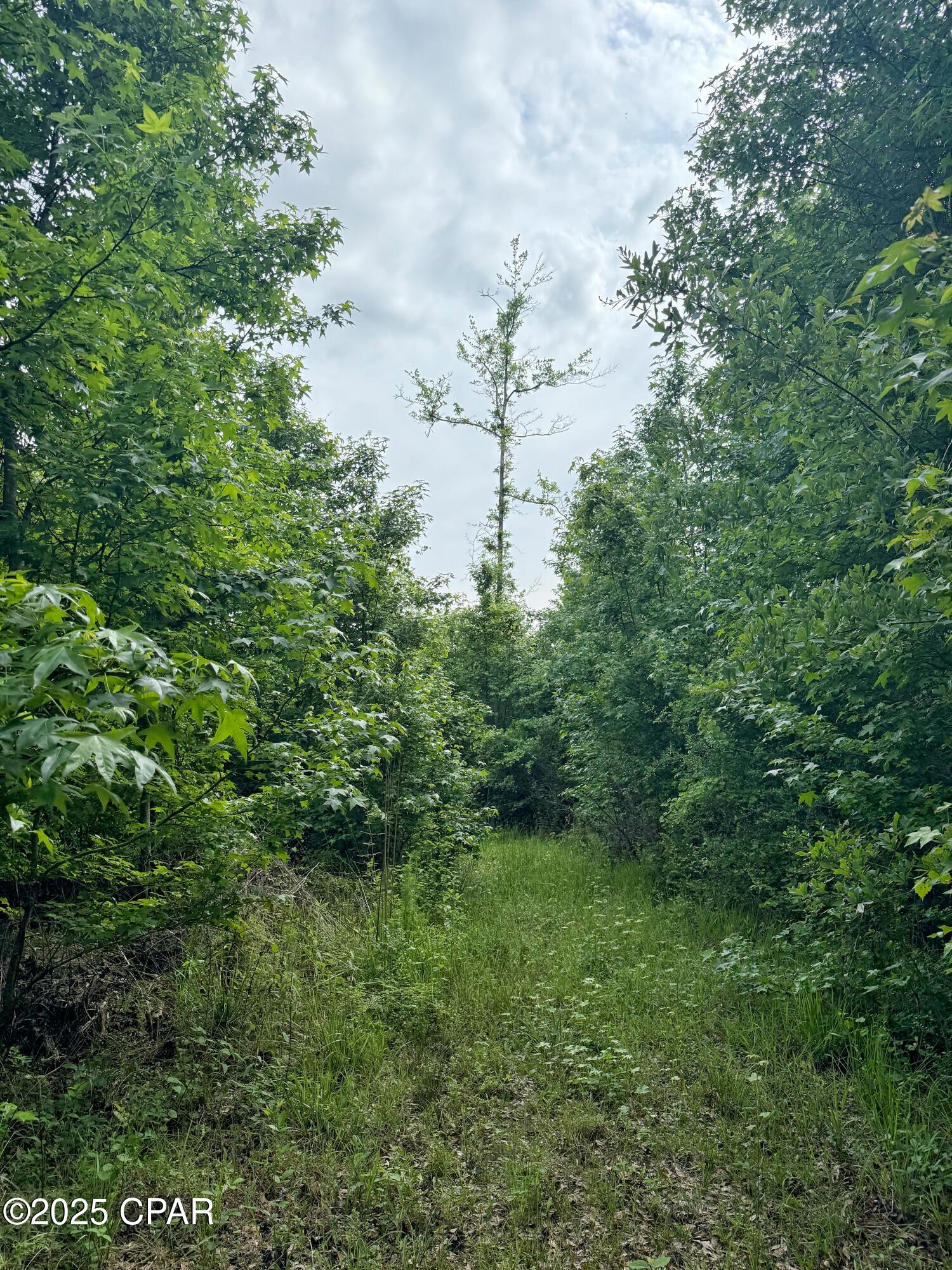 00 Delta Lane, Marianna, Florida image 7
