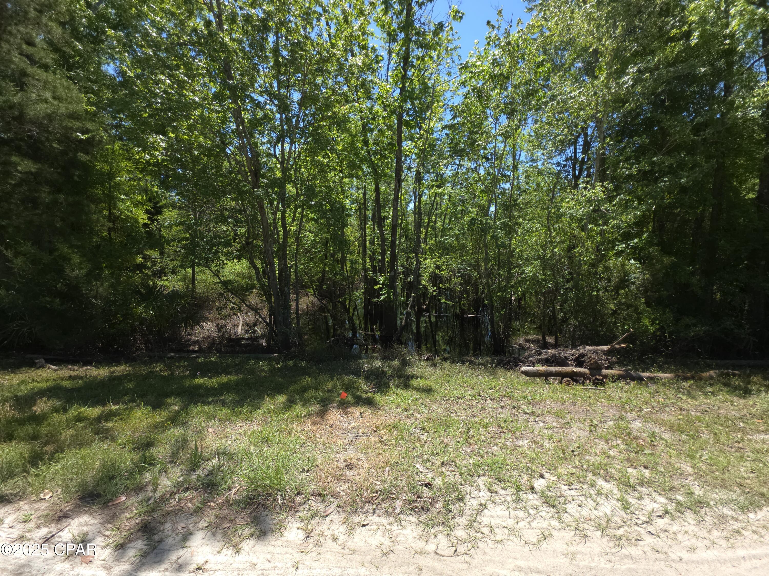 Lot 24 Whitetail Dr, Marianna, Florida image 4