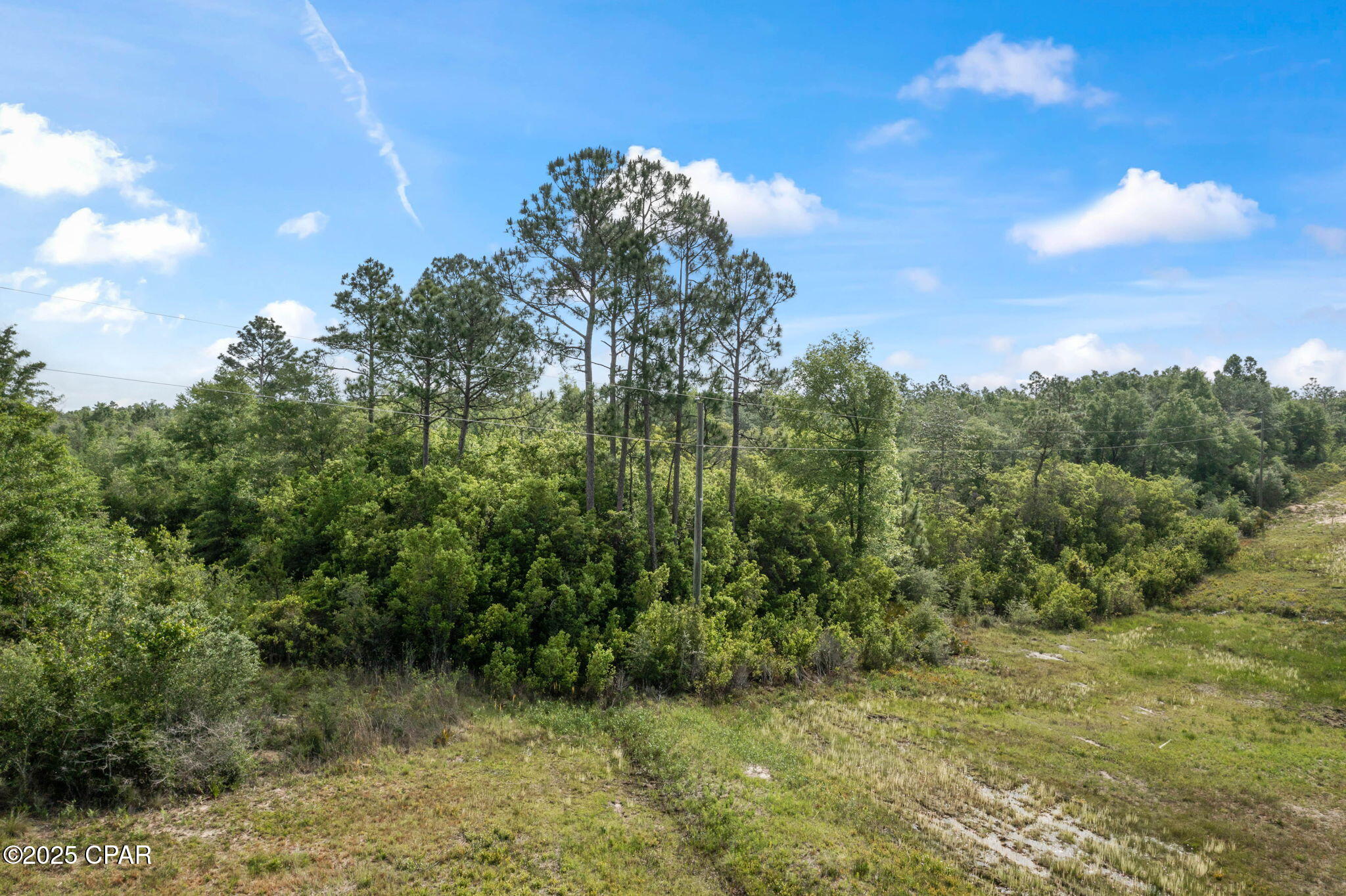 3715 Orange Hill Road, Chipley, Florida image 18
