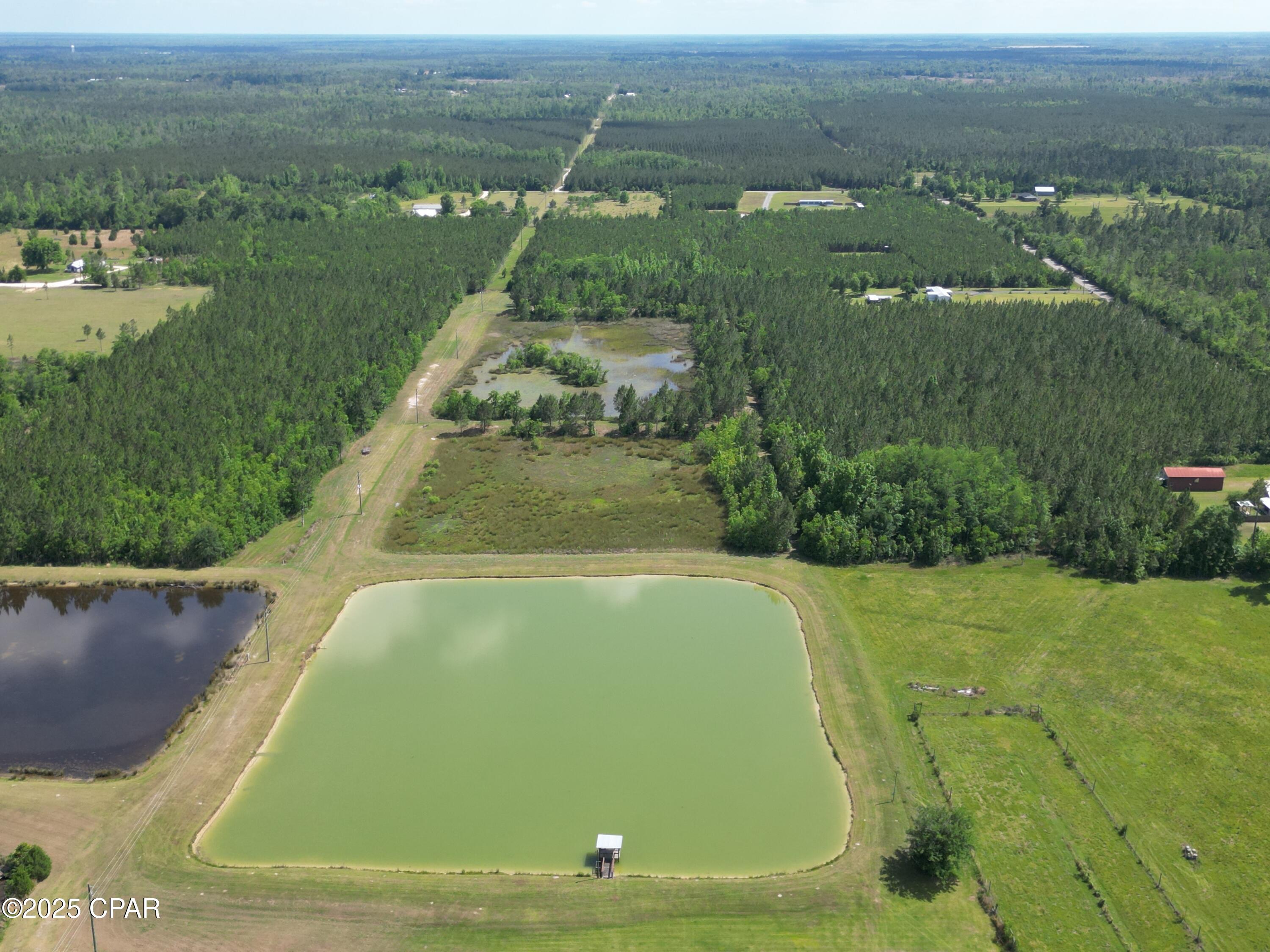 20040 Fl-71, Blountstown, Florida image 3