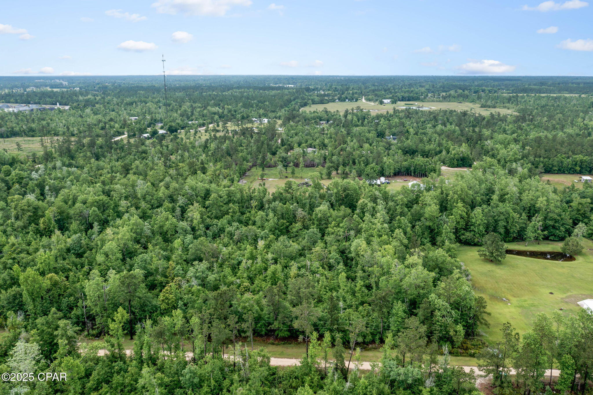 XXX Whitetail Drive, Marianna, Florida image 14