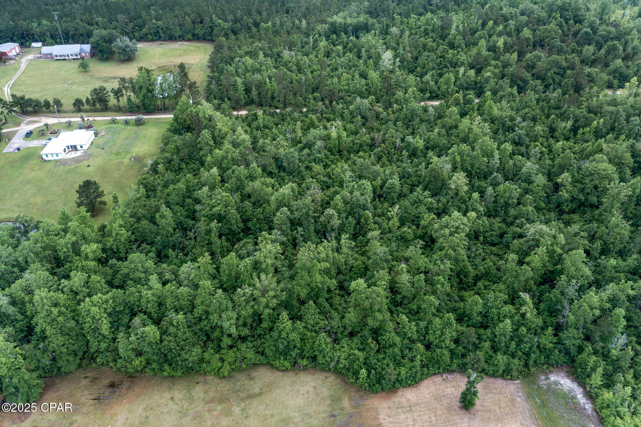 XXX Whitetail Drive, Marianna, Florida image 20