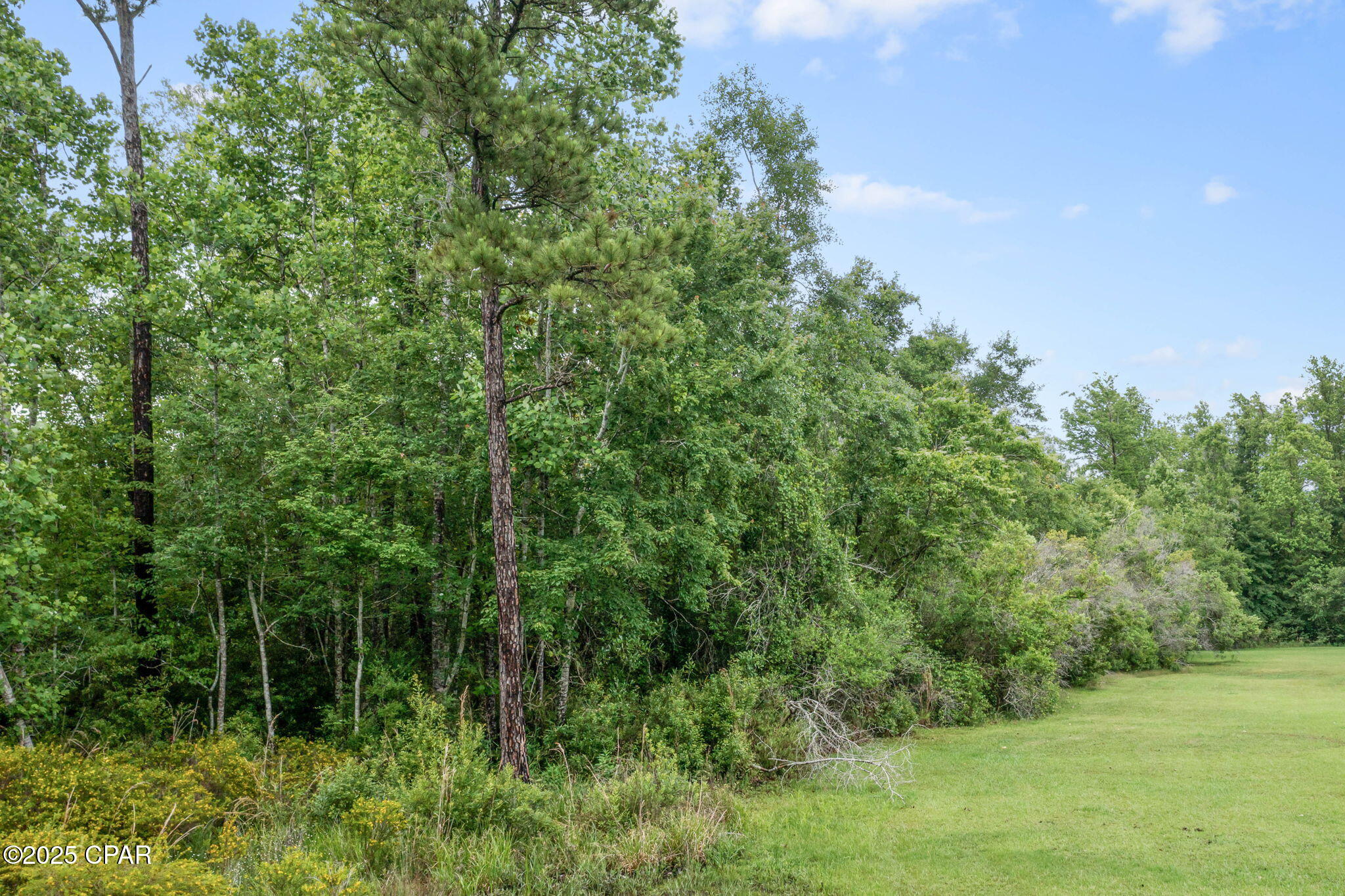 XXX Whitetail Drive, Marianna, Florida image 24