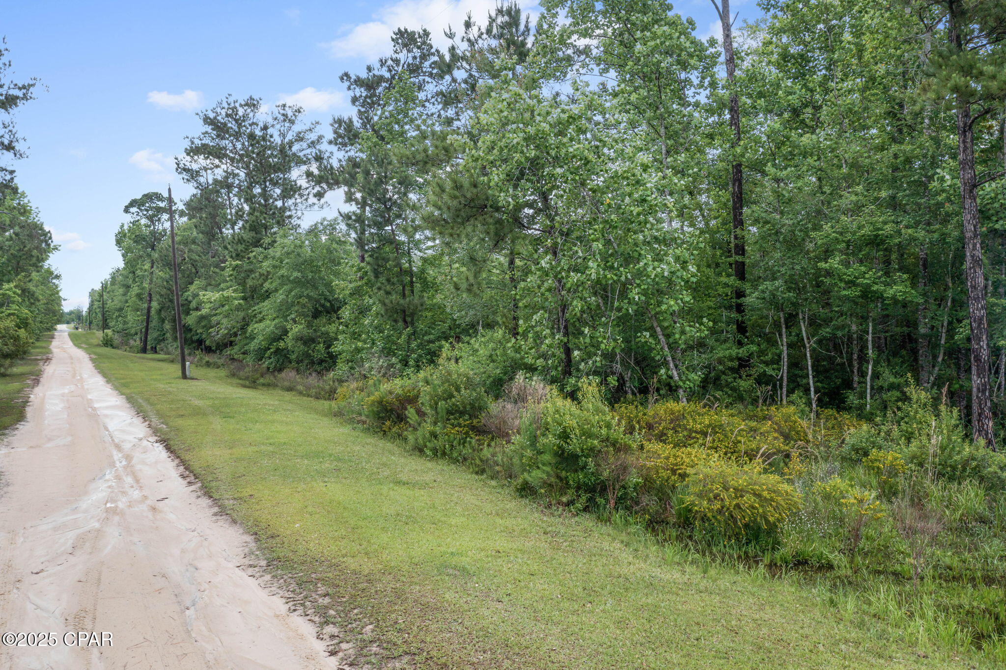 XXX Whitetail Drive, Marianna, Florida image 25