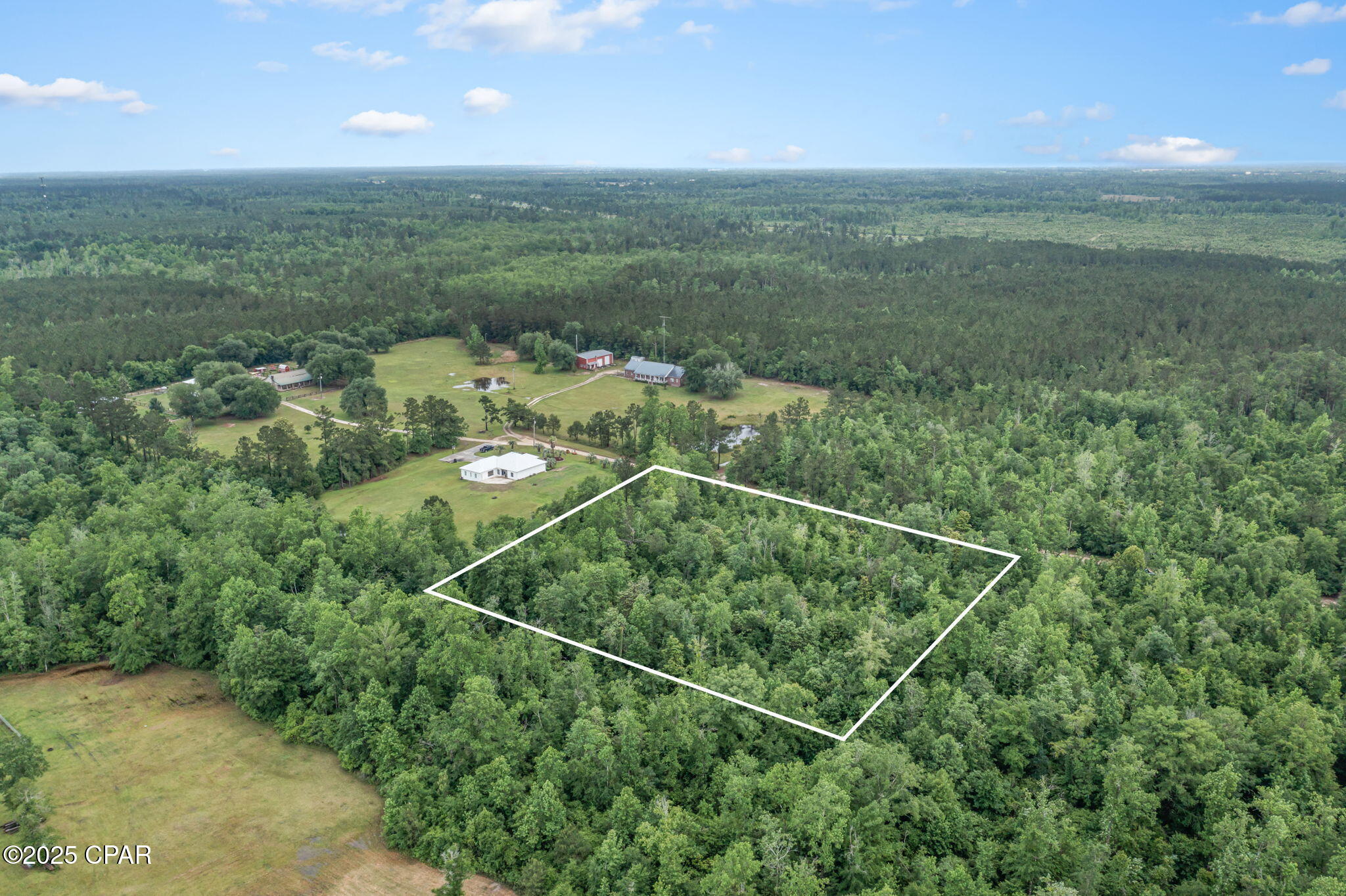 XXX Whitetail Drive, Marianna, Florida image 6