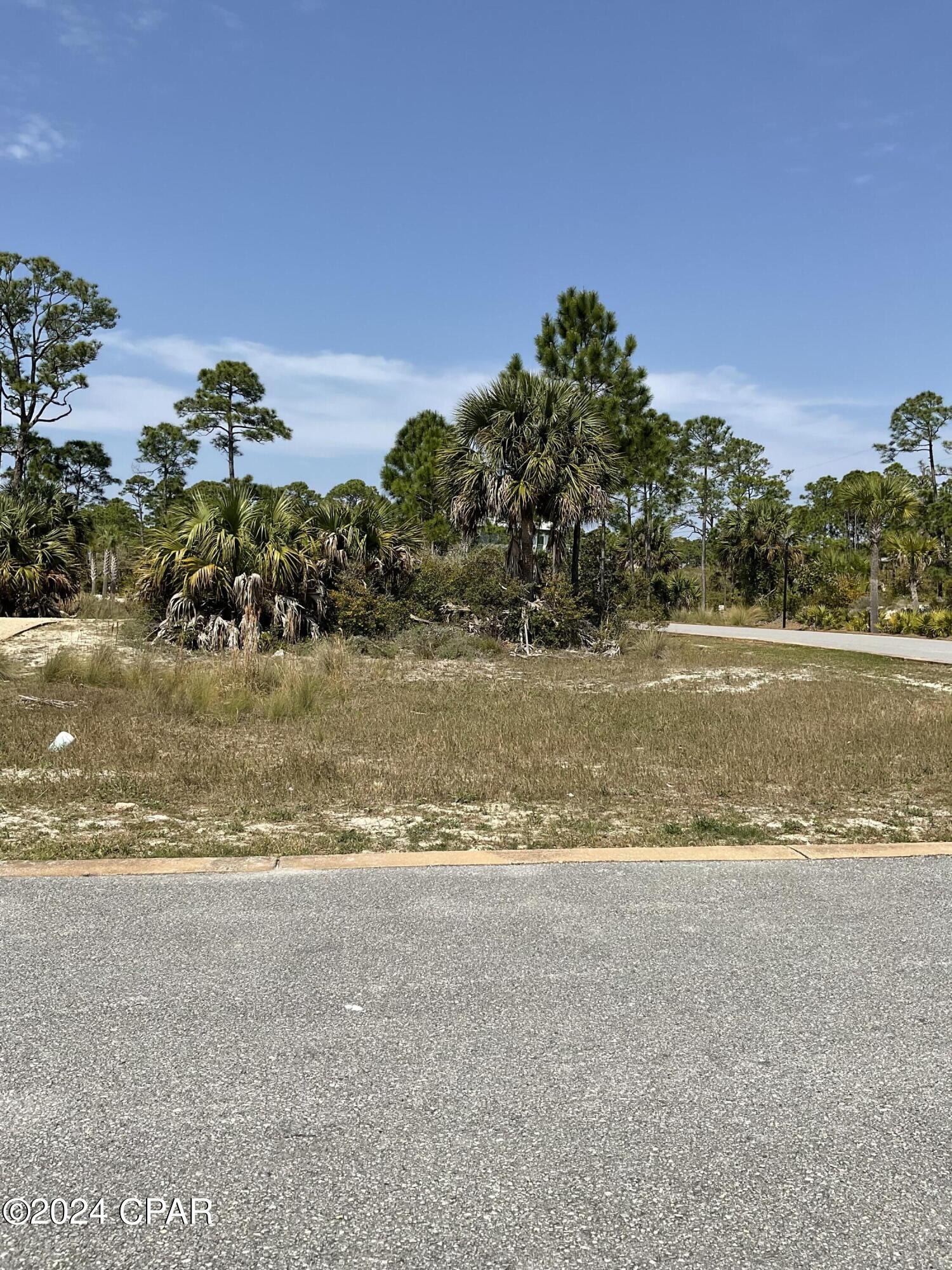 Lot 47 Jubilation Drive, Cape San Blas, Florida image 1
