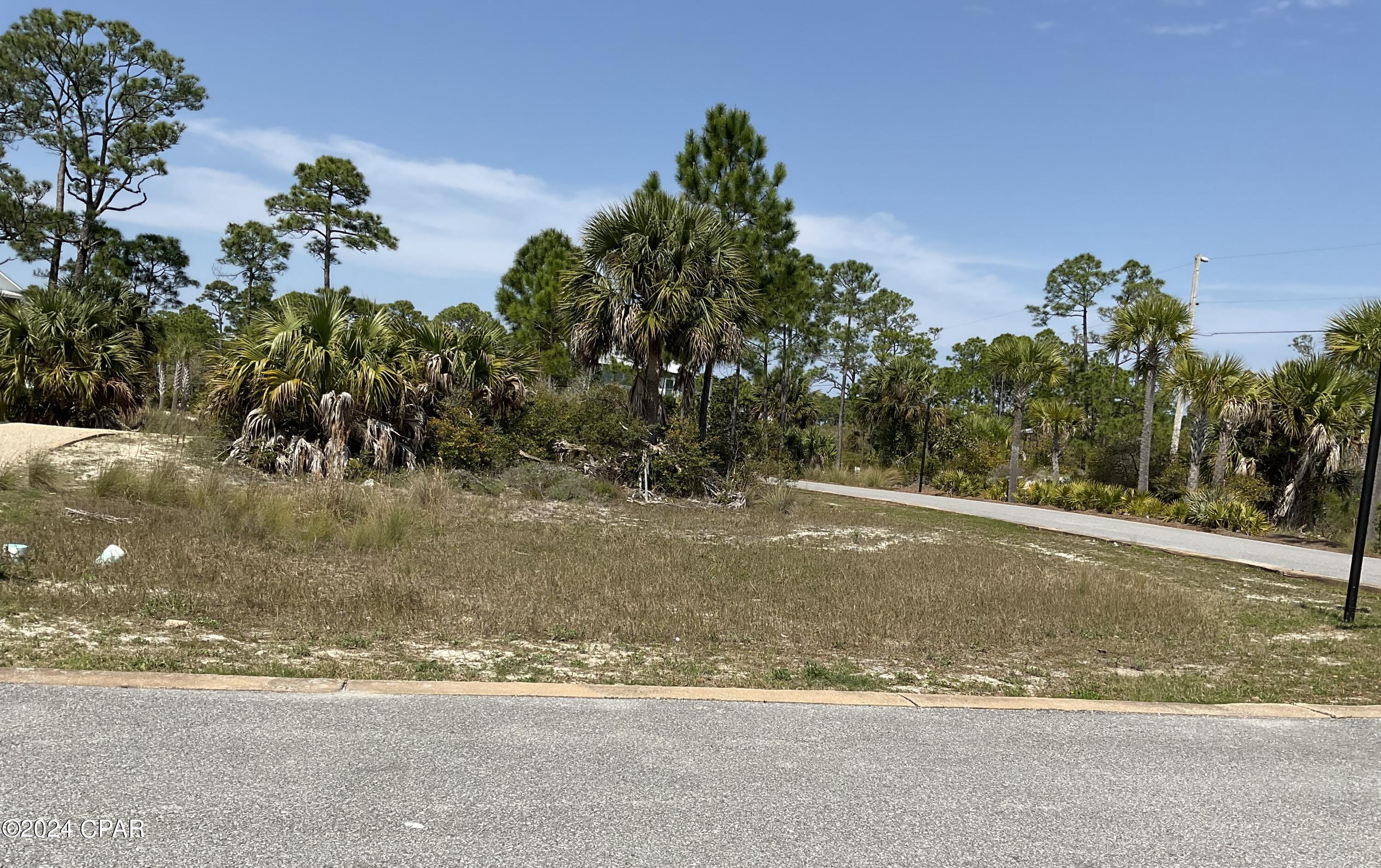 Lot 47 Jubilation Drive, Cape San Blas, Florida image 3