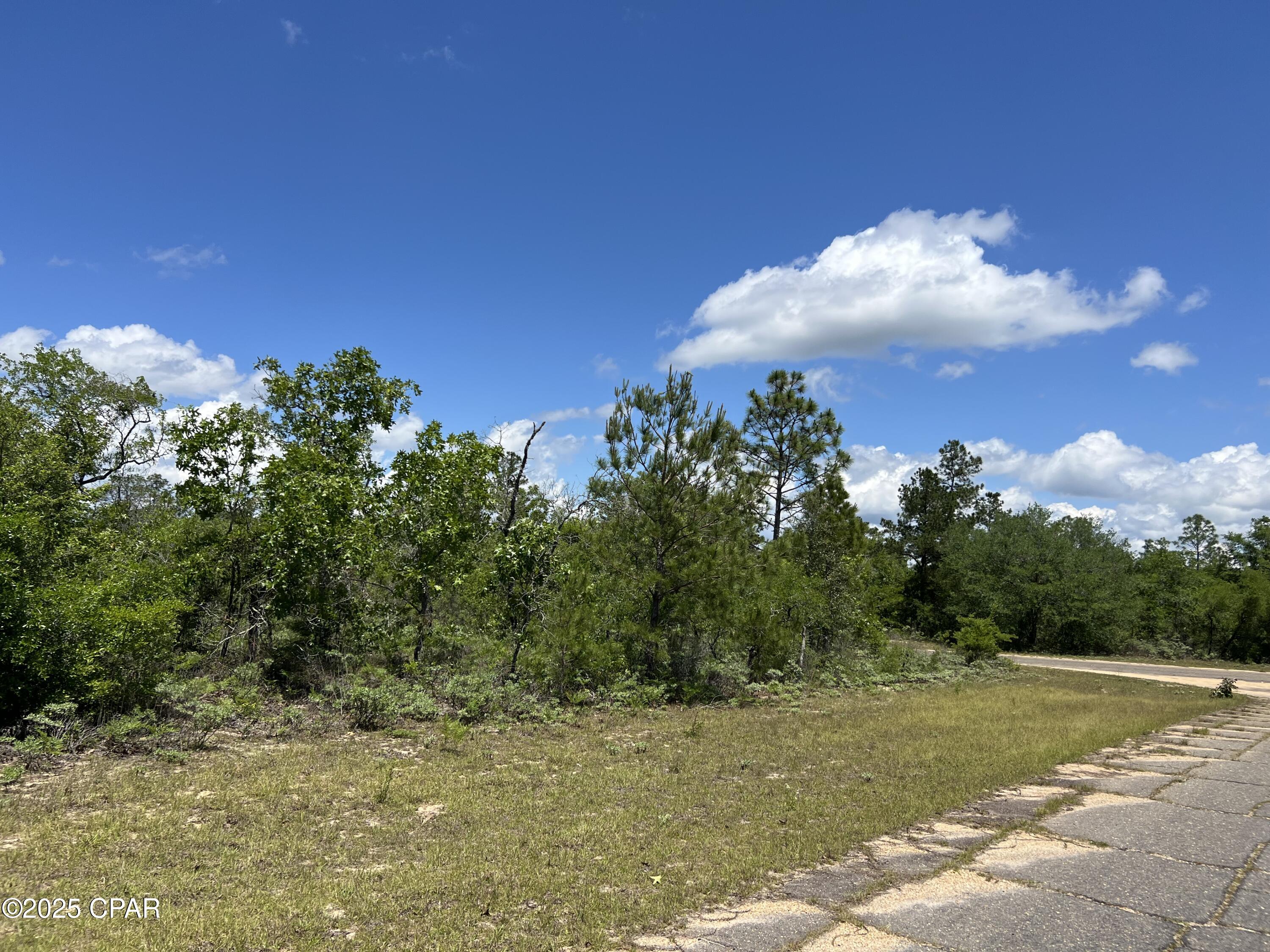 000 Millwood Place Place, Chipley, Florida image 1