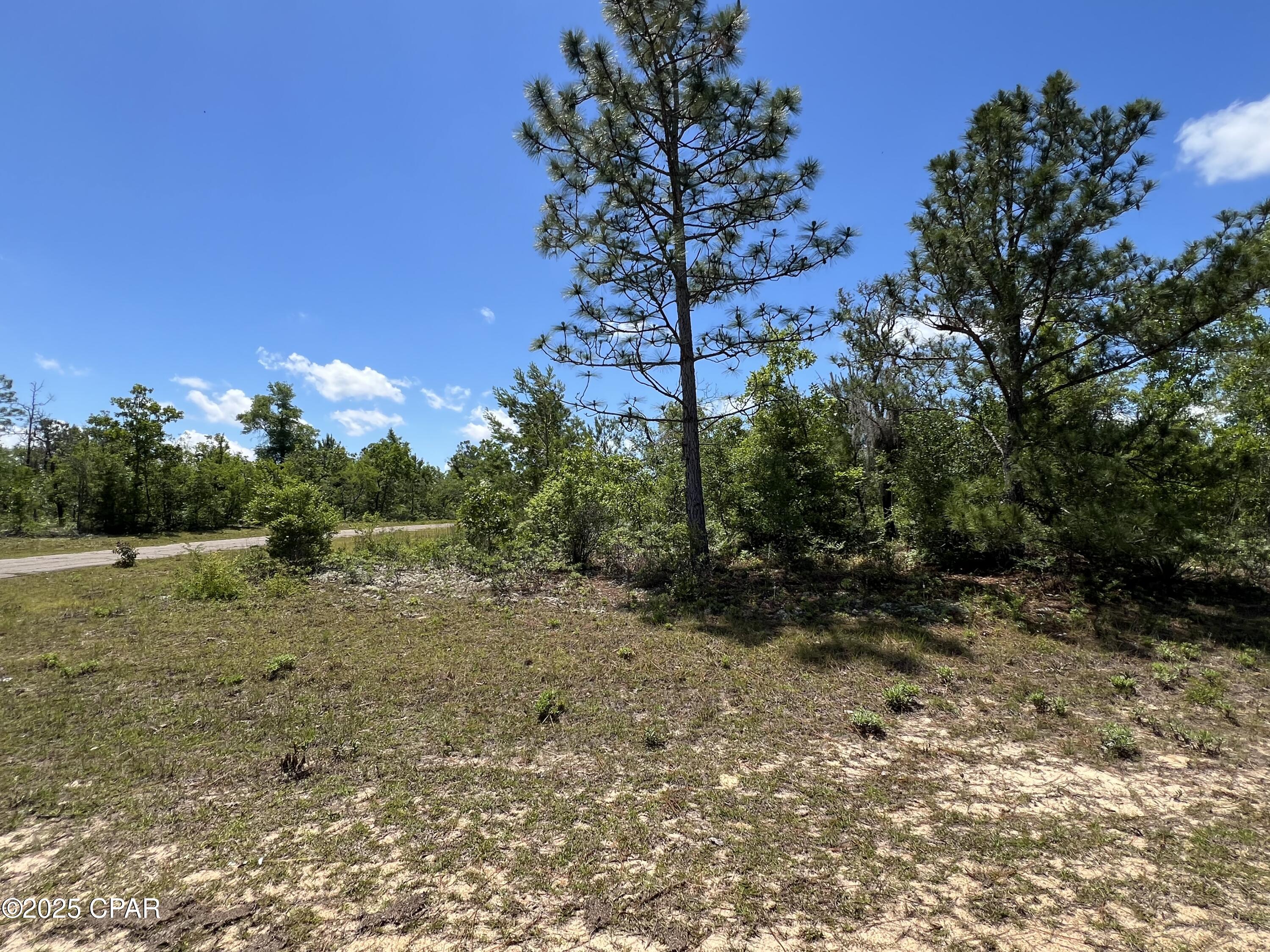 000 Millwood Place Place, Chipley, Florida image 3
