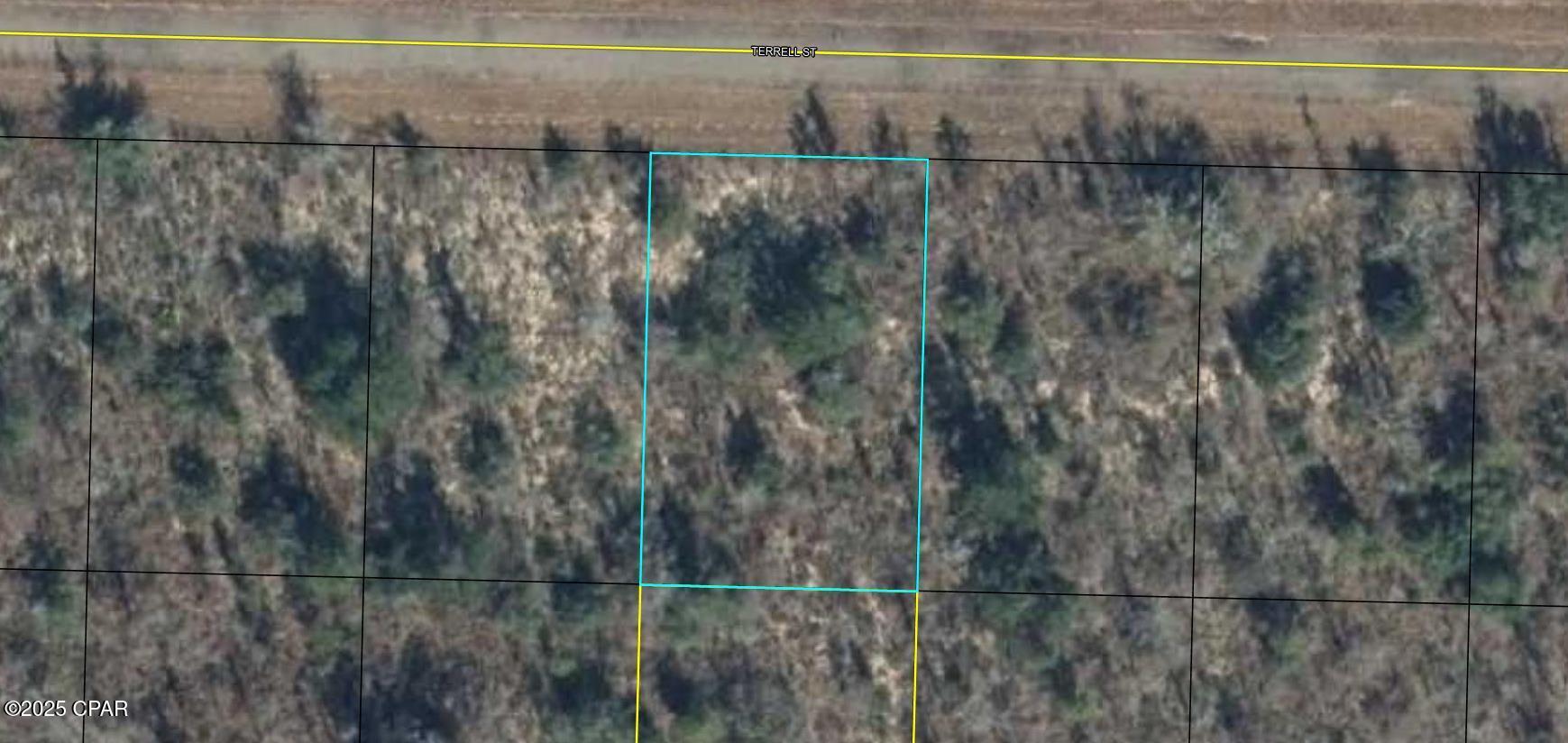 Lot 11 Terrell Street, Chipley, Florida image 1