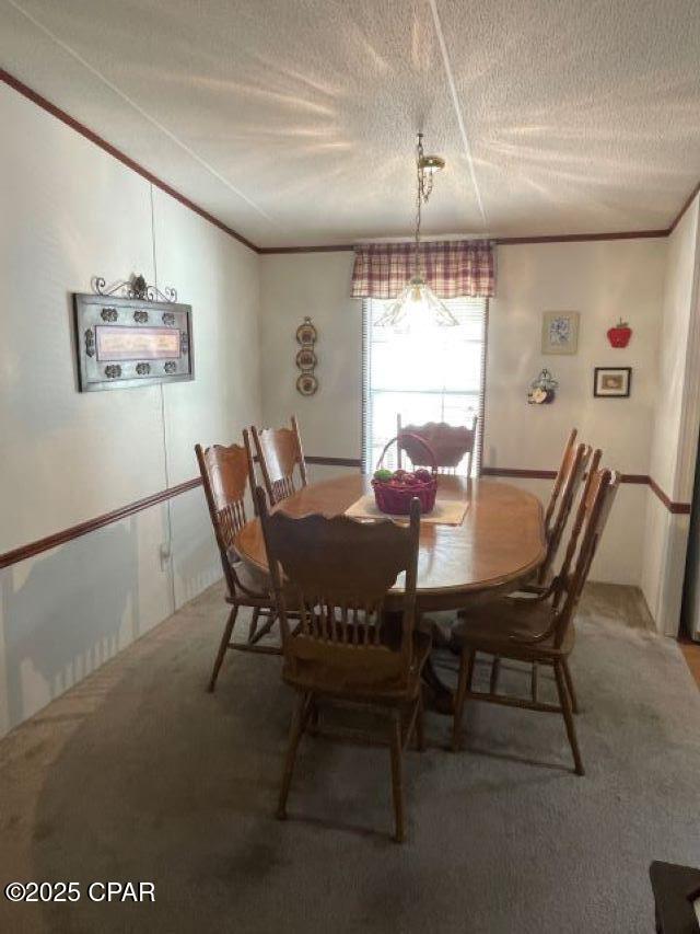 25887 SW Cr 379, Bristol, Florida image 20